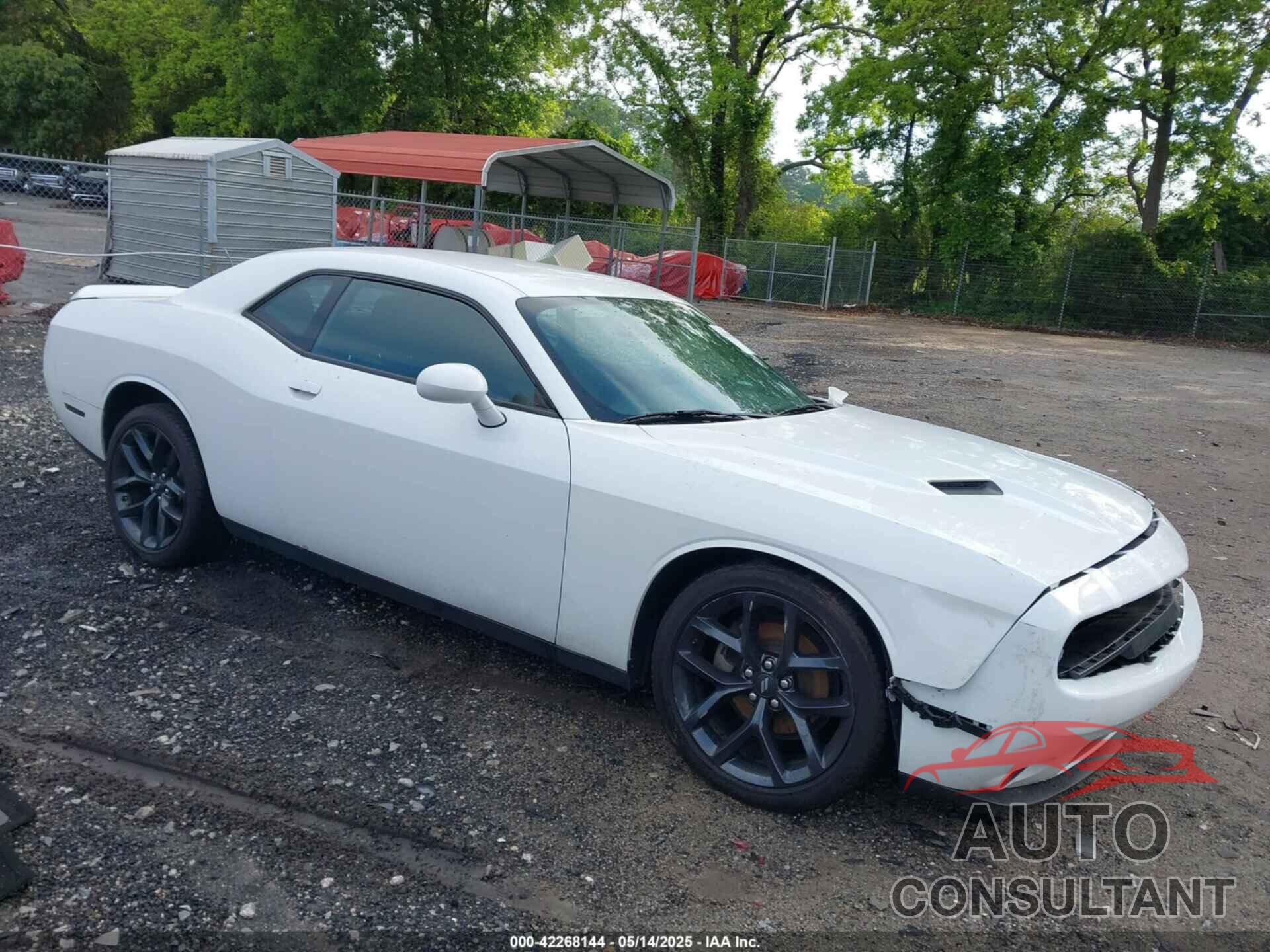 DODGE CHALLENGER 2019 - 2C3CDZAG4KH744611