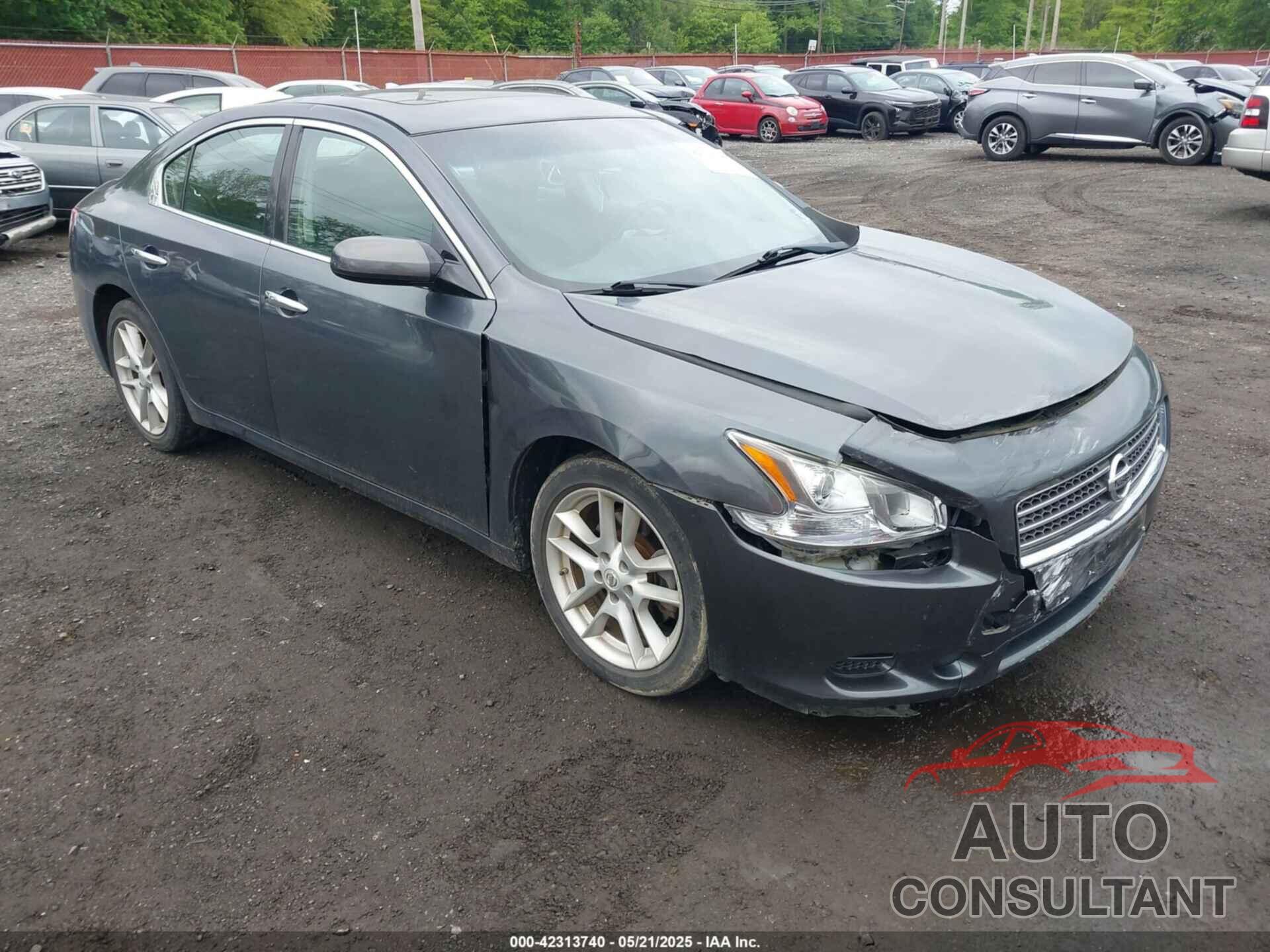 NISSAN MAXIMA 2011 - 1N4AA5AP1BC807662