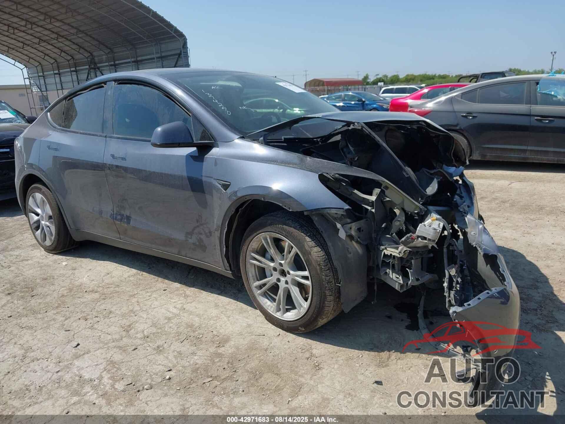 TESLA MODEL Y 2022 - 7SAYGDEE9NA001764