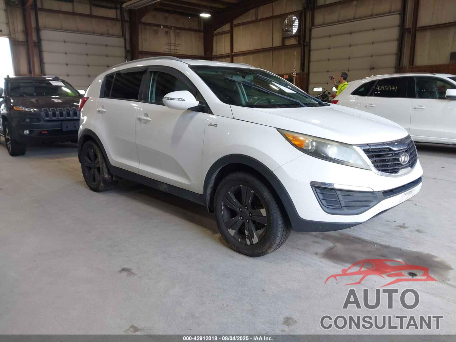 KIA SPORTAGE 2011 - KNDPBCA26B7101645