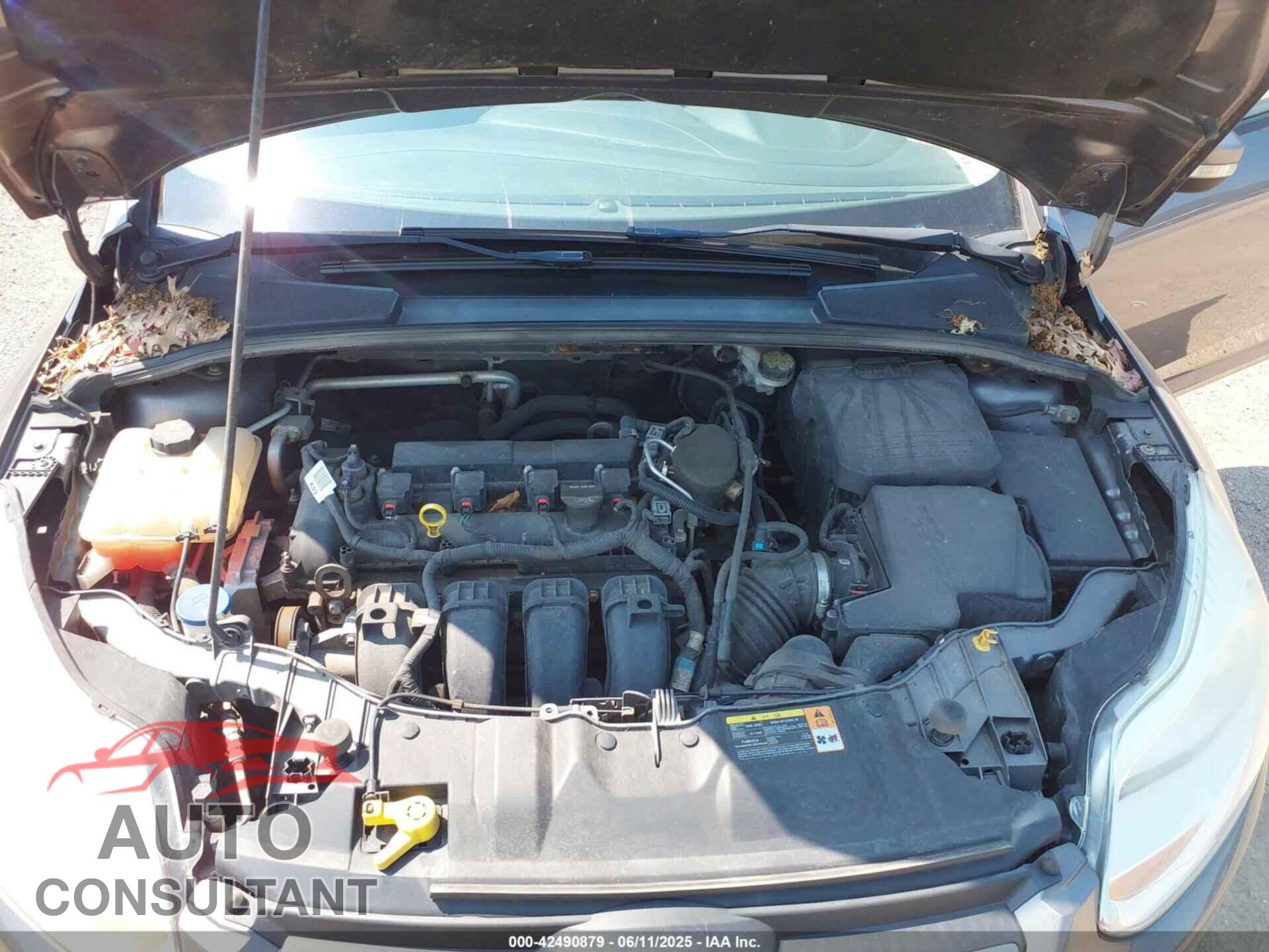 FORD FOCUS 2014 - 1FADP3F21EL223635