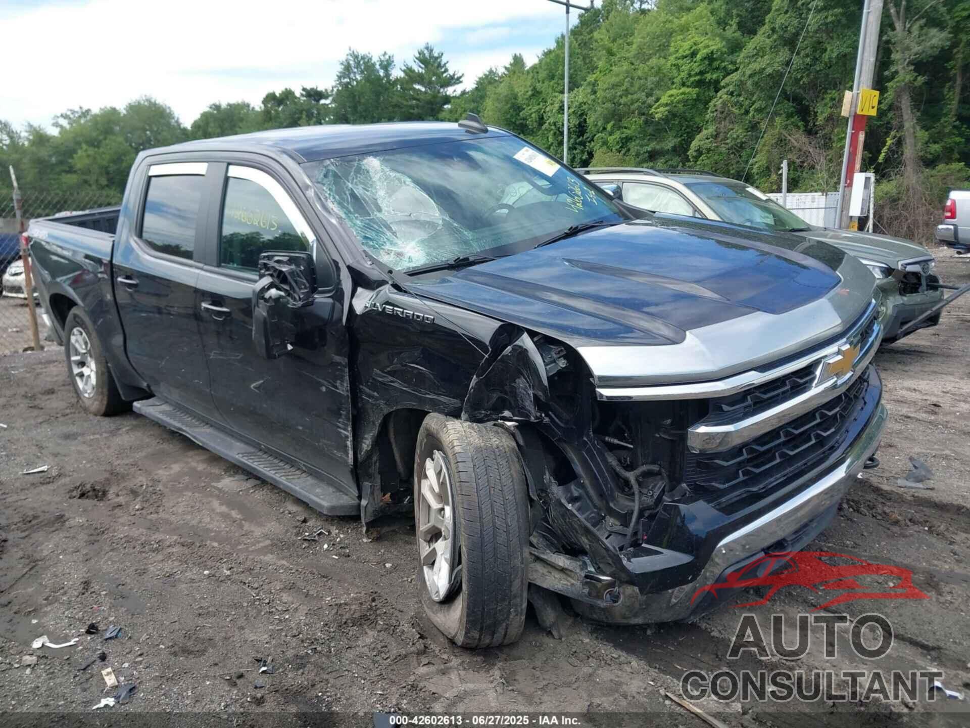 CHEVROLET SILVERADO 1500 2022 - 1GCPDKEK1NZ577387