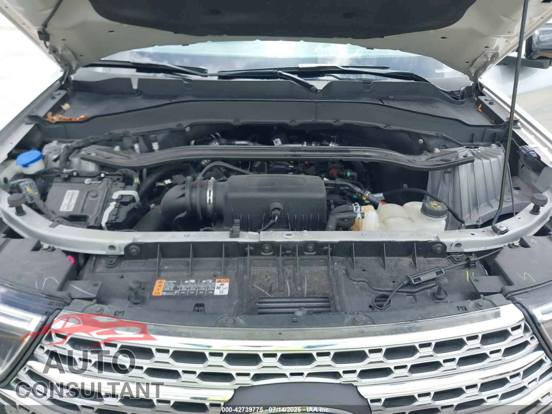FORD EXPLORER 2023 - 1FMSK8FH3PGB40409