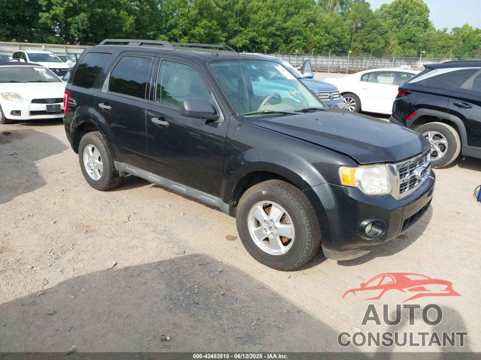 FORD ESCAPE 2011 - 1FMCU0D7XBKA12460