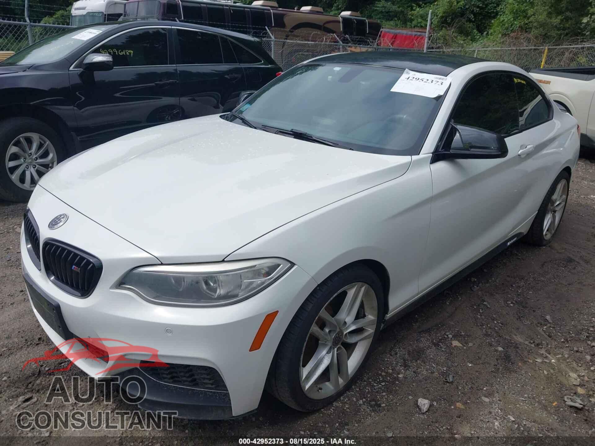 BMW 228I 2014 - WBA1F5C59EVV99446