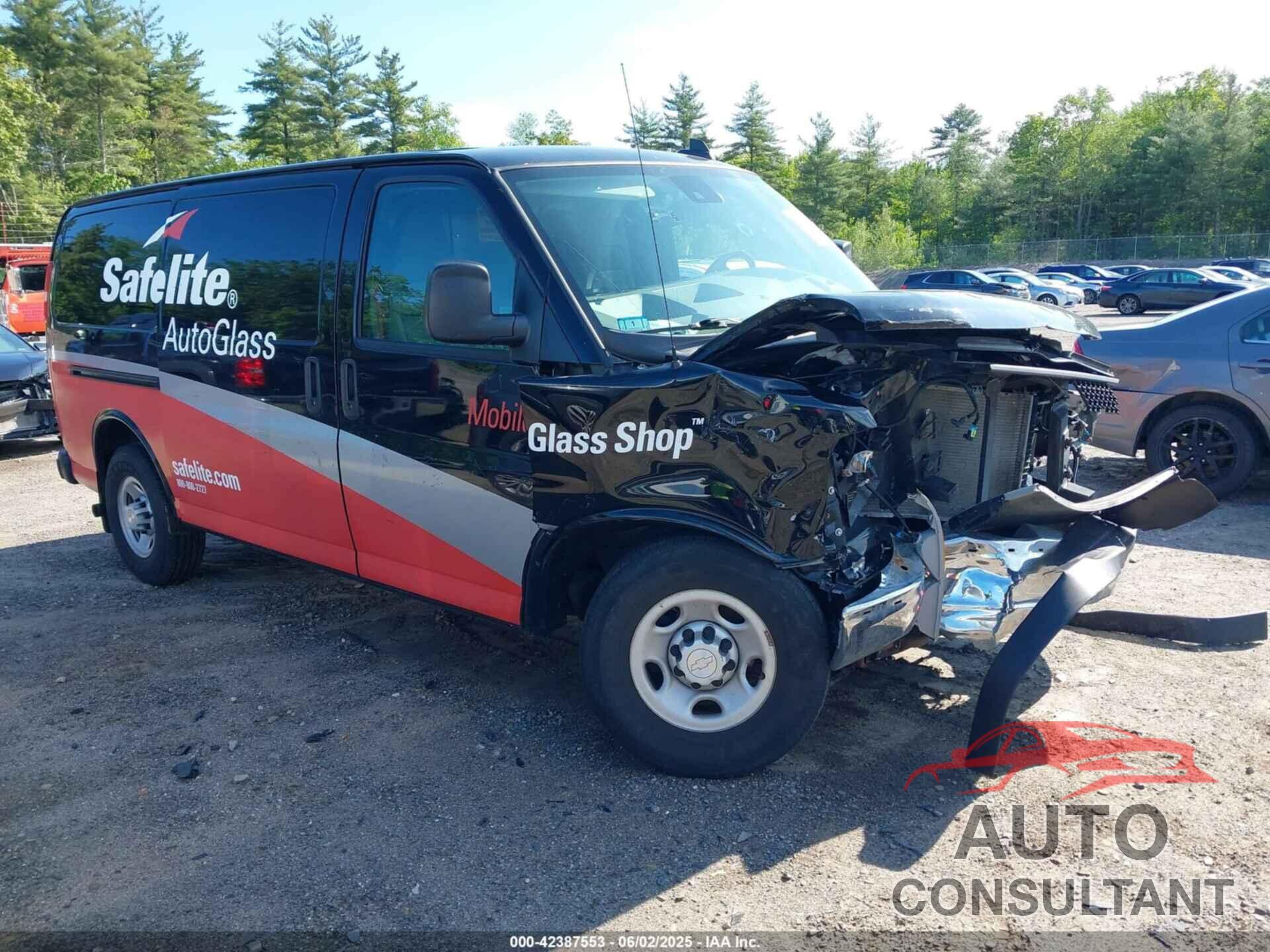 CHEVROLET EXPRESS 2500 2019 - 1GCWGAFP9K1229029