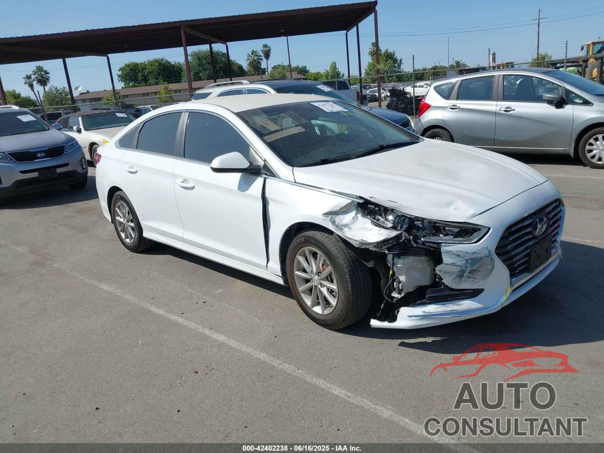 HYUNDAI SONATA 2019 - 5NPE24AF4KH748752