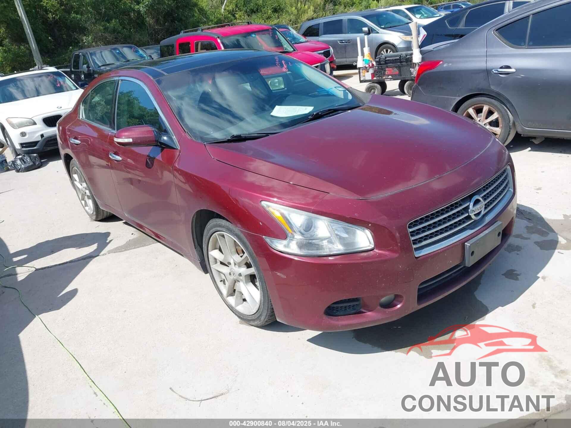 NISSAN MAXIMA 2011 - 1N4AA5AP1BC835252