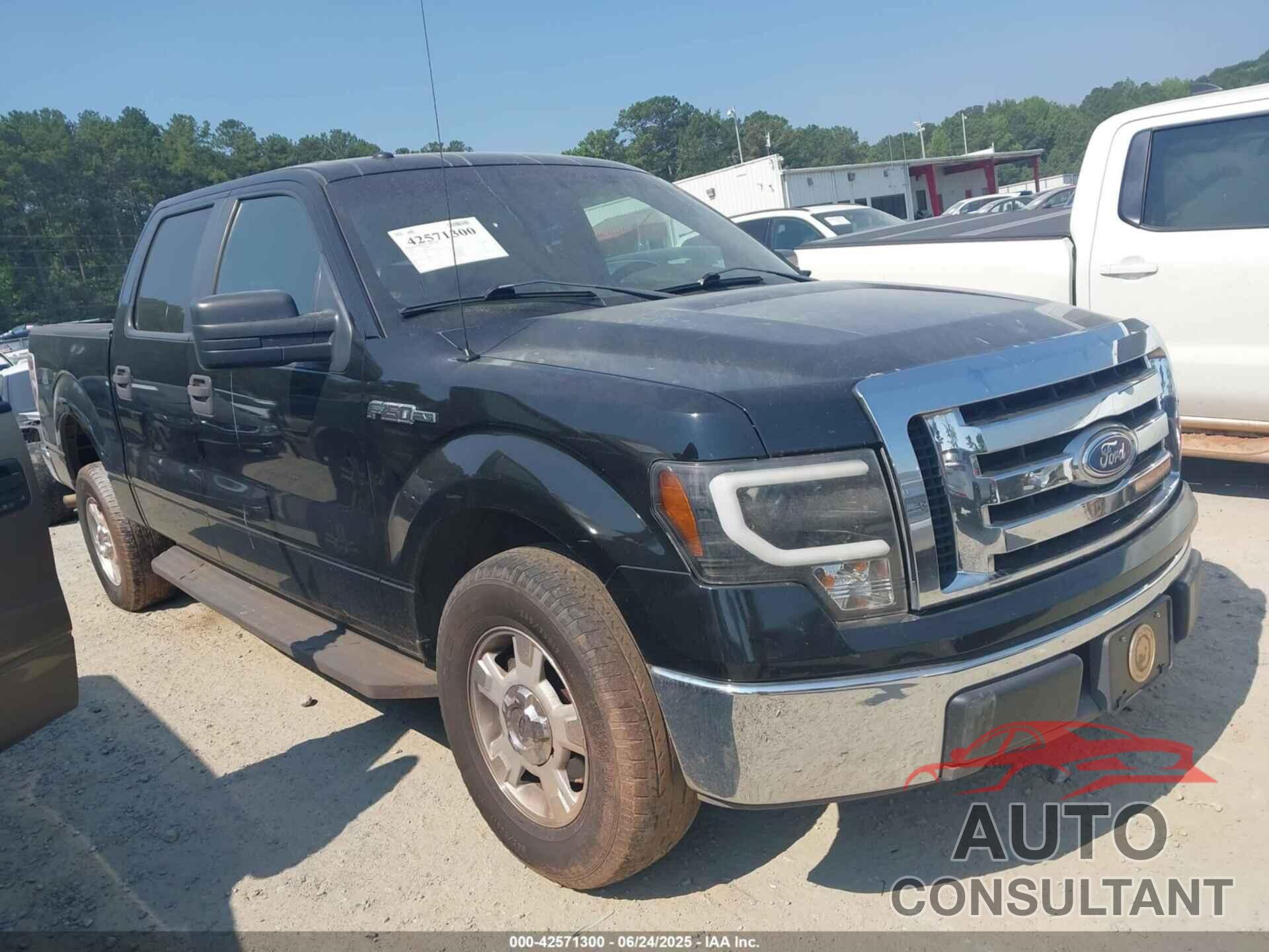FORD F-150 2009 - 1FTRW12809FA72857