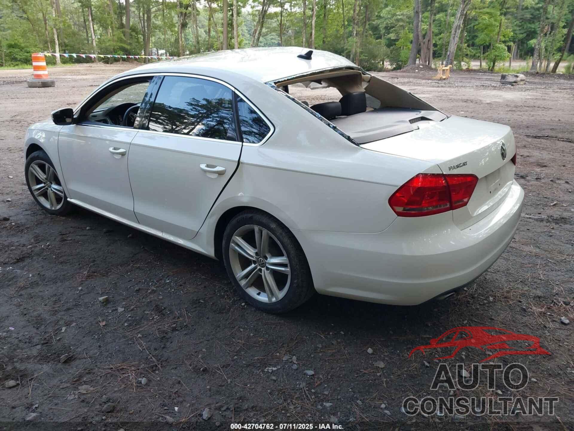 VOLKSWAGEN PASSAT 2014 - 1VWBN7A30EC112103