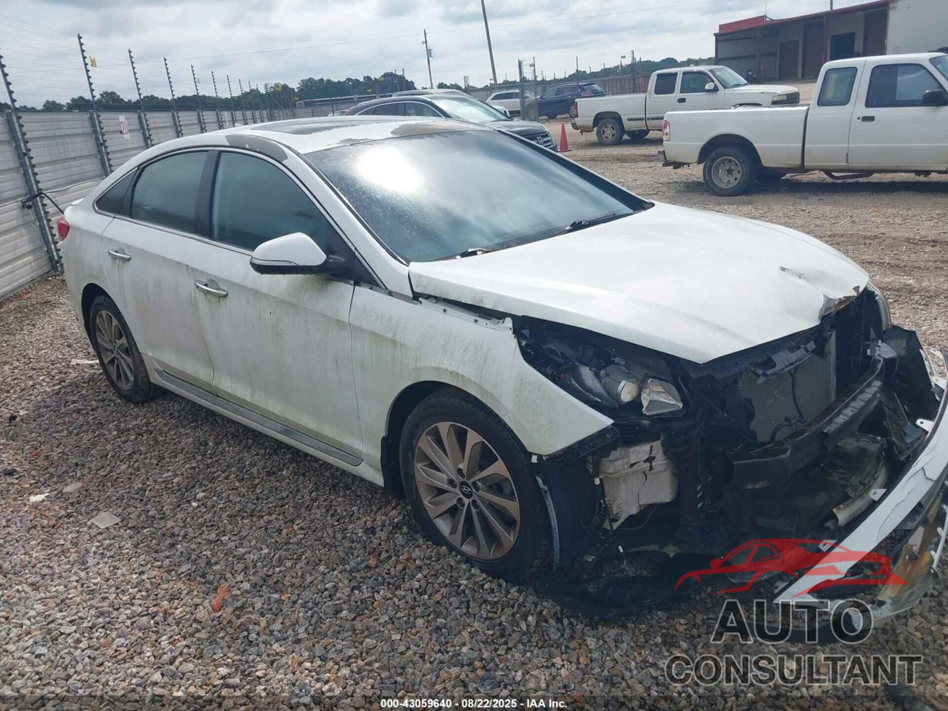 HYUNDAI SONATA 2017 - 5NPE34AF7HH444160