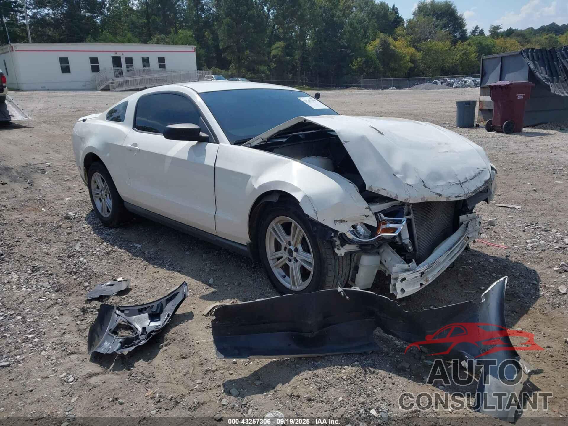 FORD MUSTANG 2010 - 1ZVBP8AN0A5170633