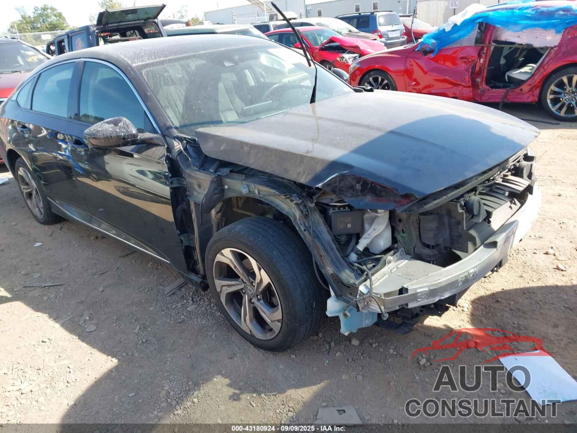 HONDA ACCORD 2019 - 1HGCV1F45KA005532