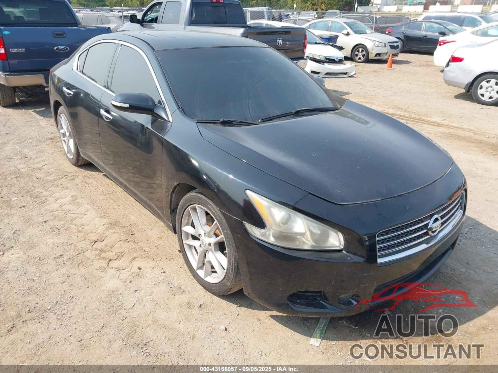 NISSAN MAXIMA 2009 - 1N4AA51E69C805267