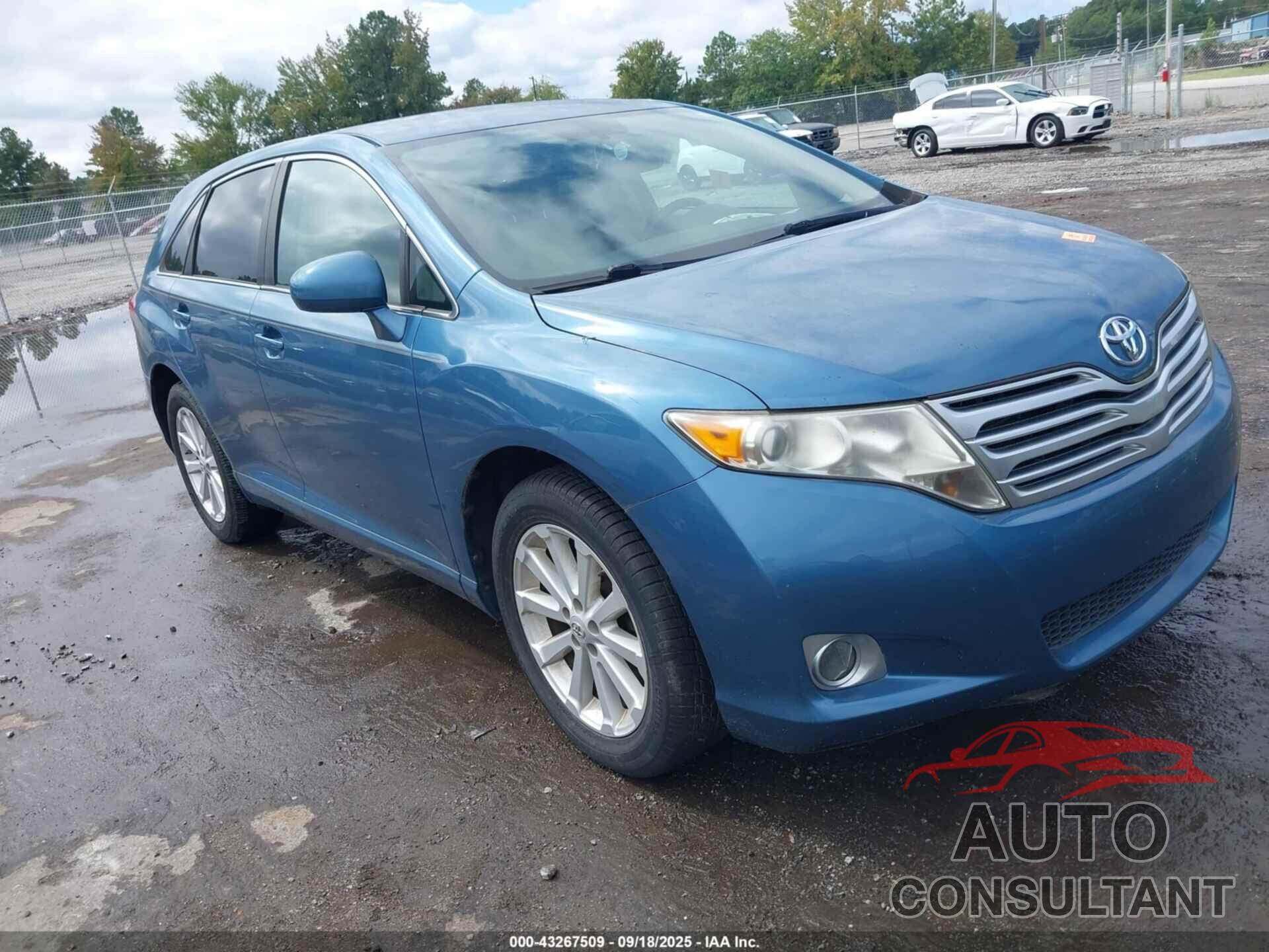 TOYOTA VENZA 2010 - 4T3ZA3BB5AU036185