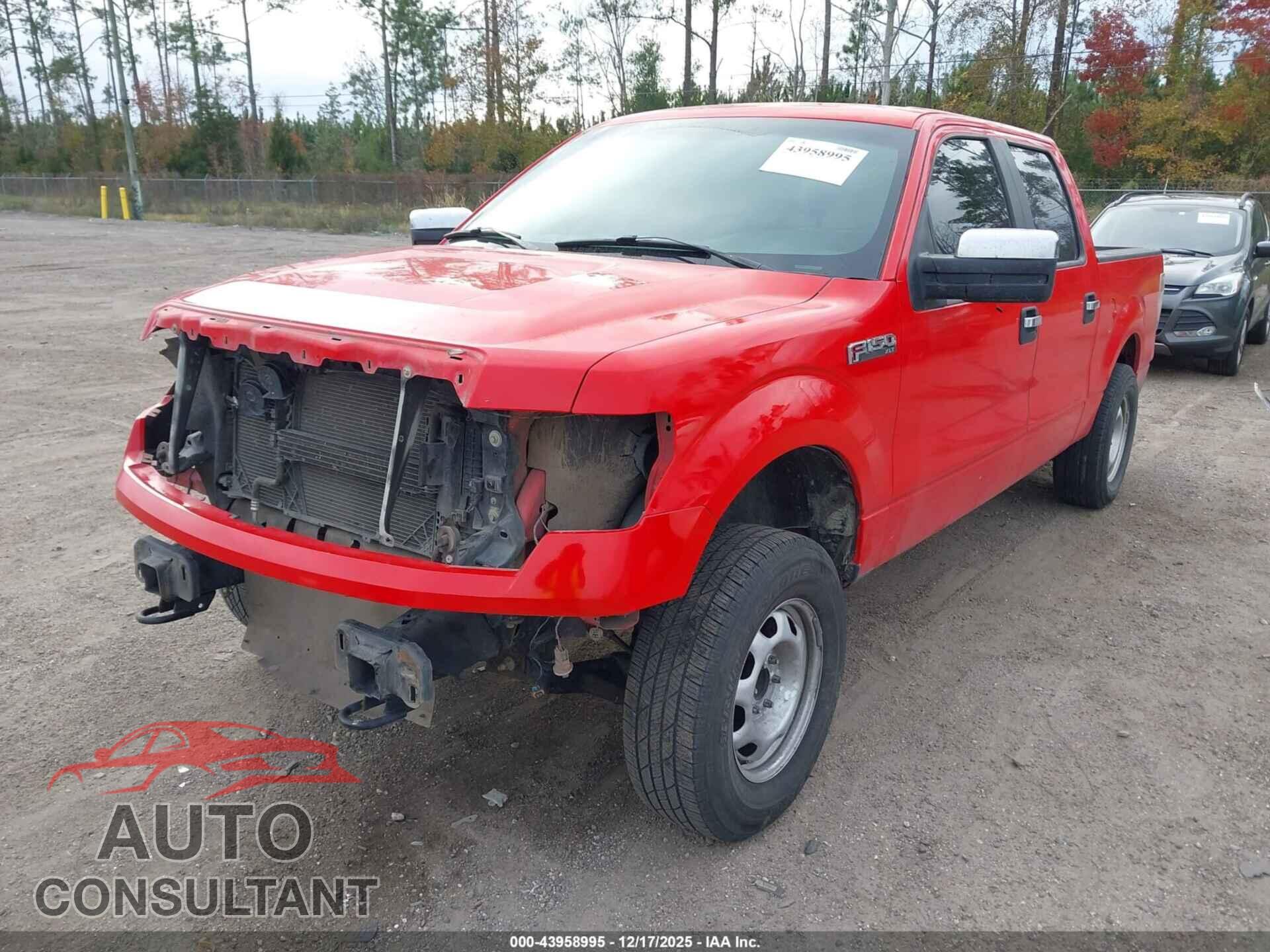 FORD F-150 2012 - 1FTEW1CM3CFB29151