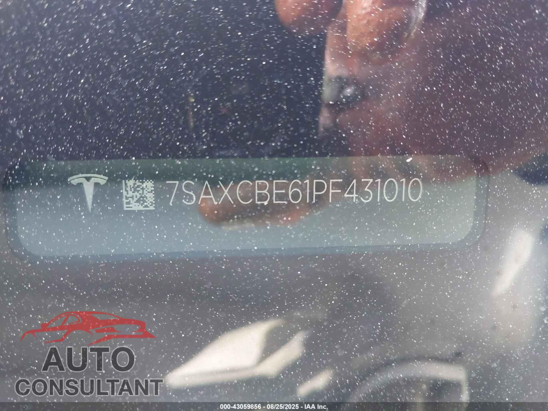TESLA MODEL X 2023 - 7SAXCBE61PF431010