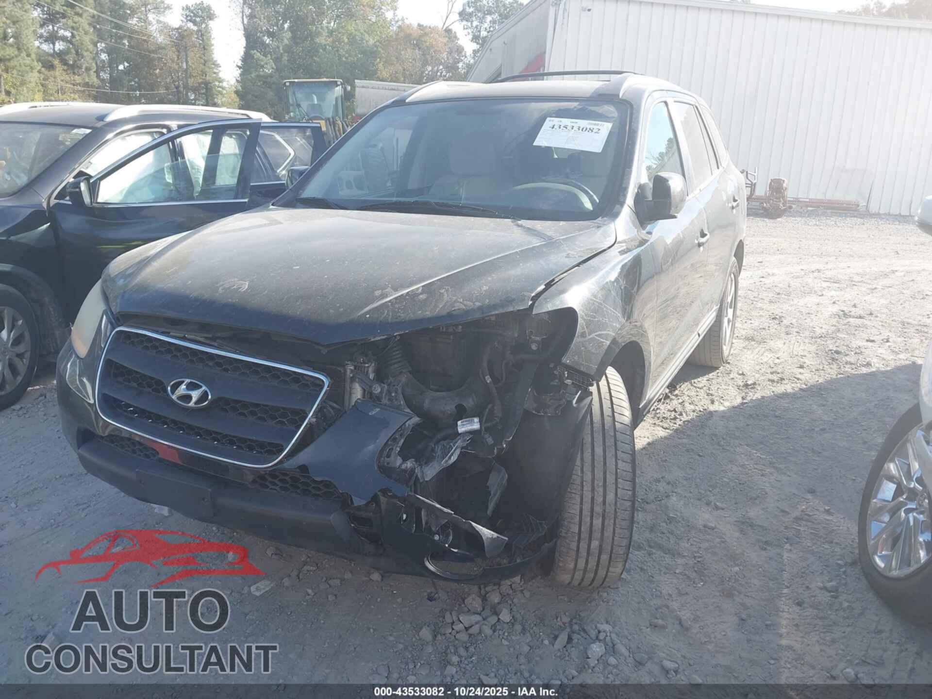 HYUNDAI SANTA FE 2009 - 5NMSH13E29H257124