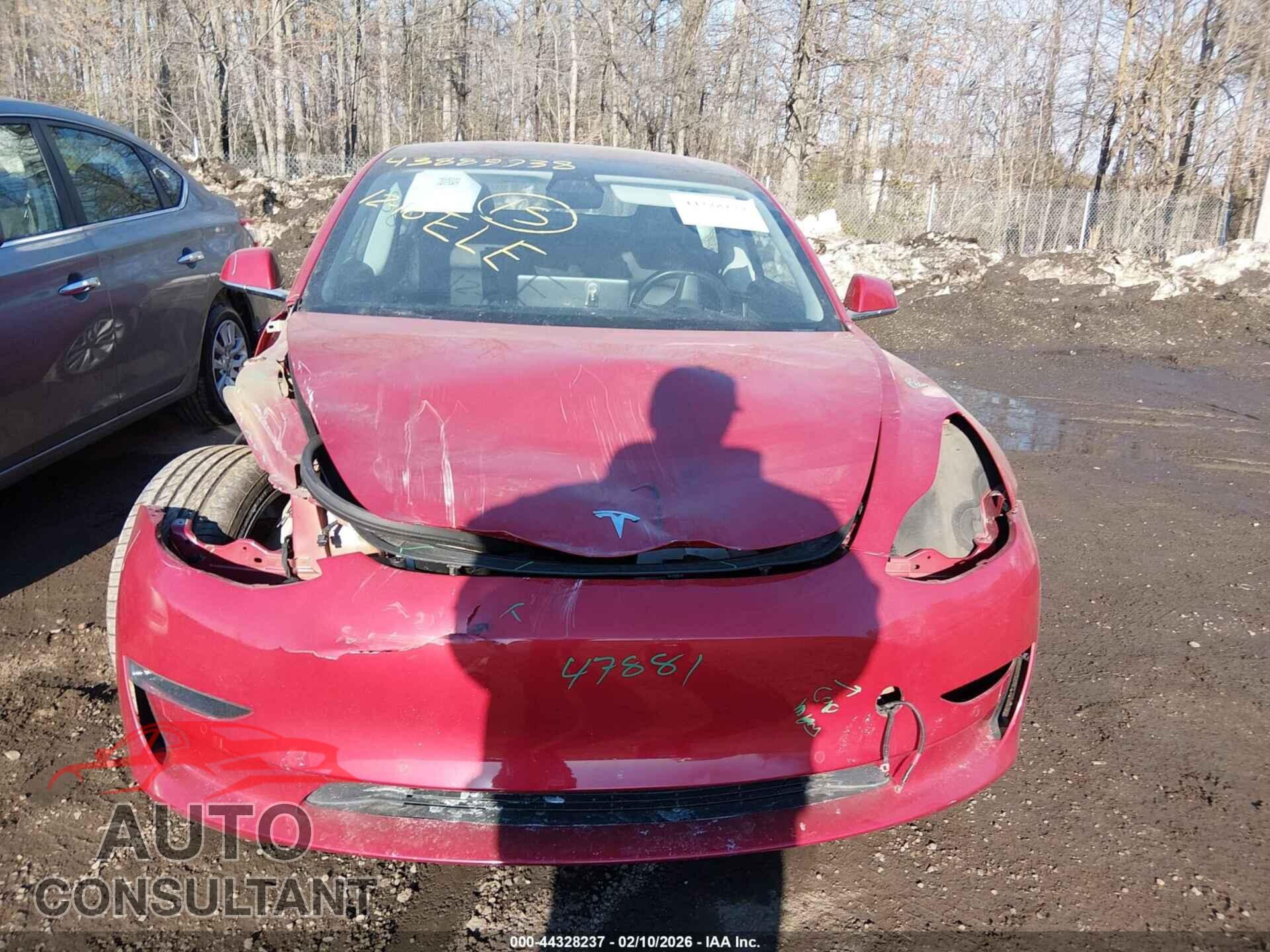 TESLA MODEL 3 2019 - 5YJ3E1EA1KF301046