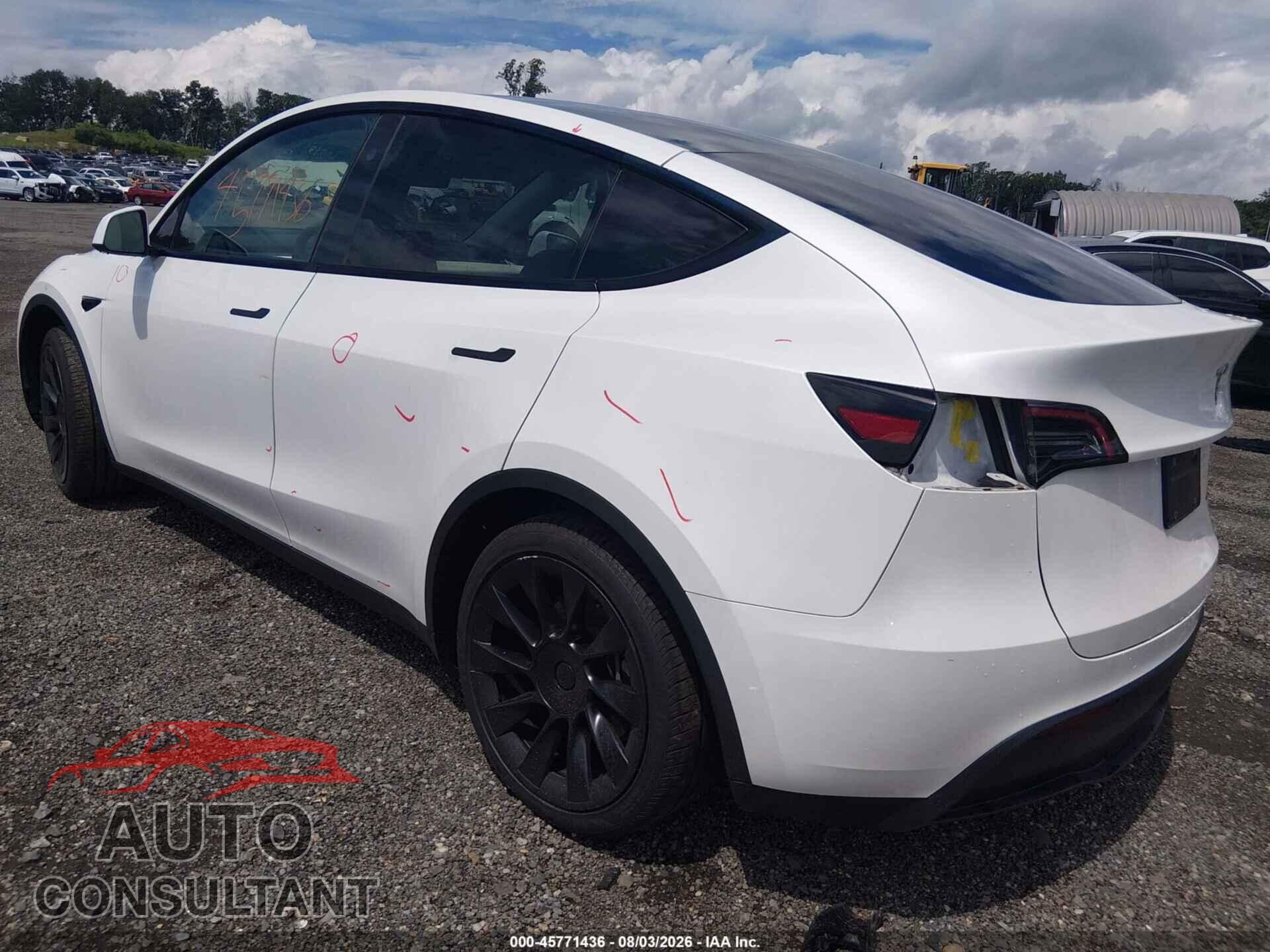 TESLA MODEL Y 2024 - 7SAYGAEE5RF993361