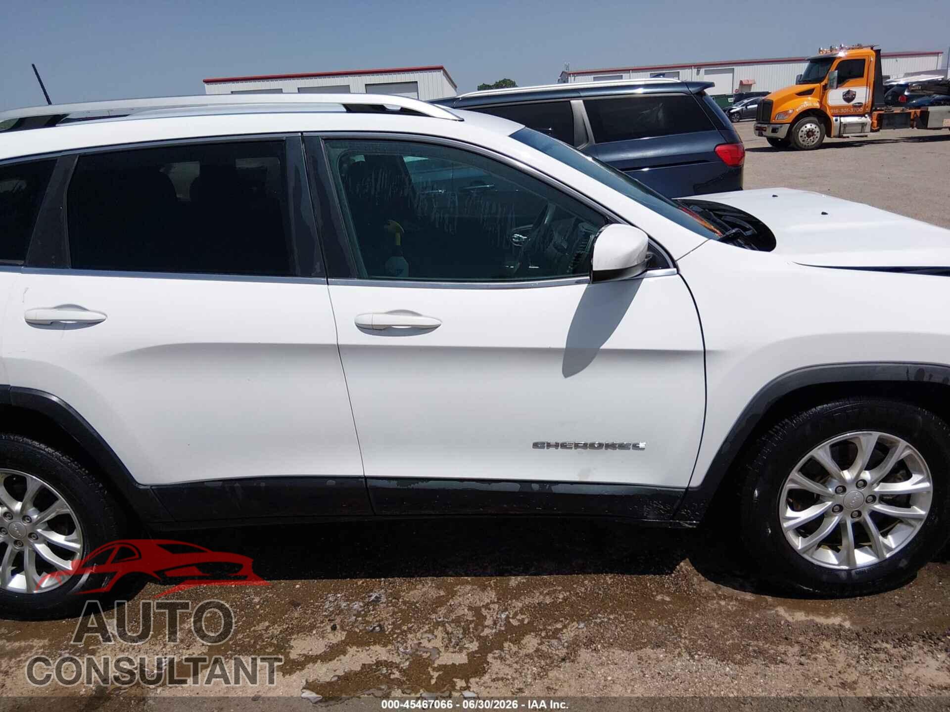 JEEP CHEROKEE 2019 - 1C4PJLCB0KD264308