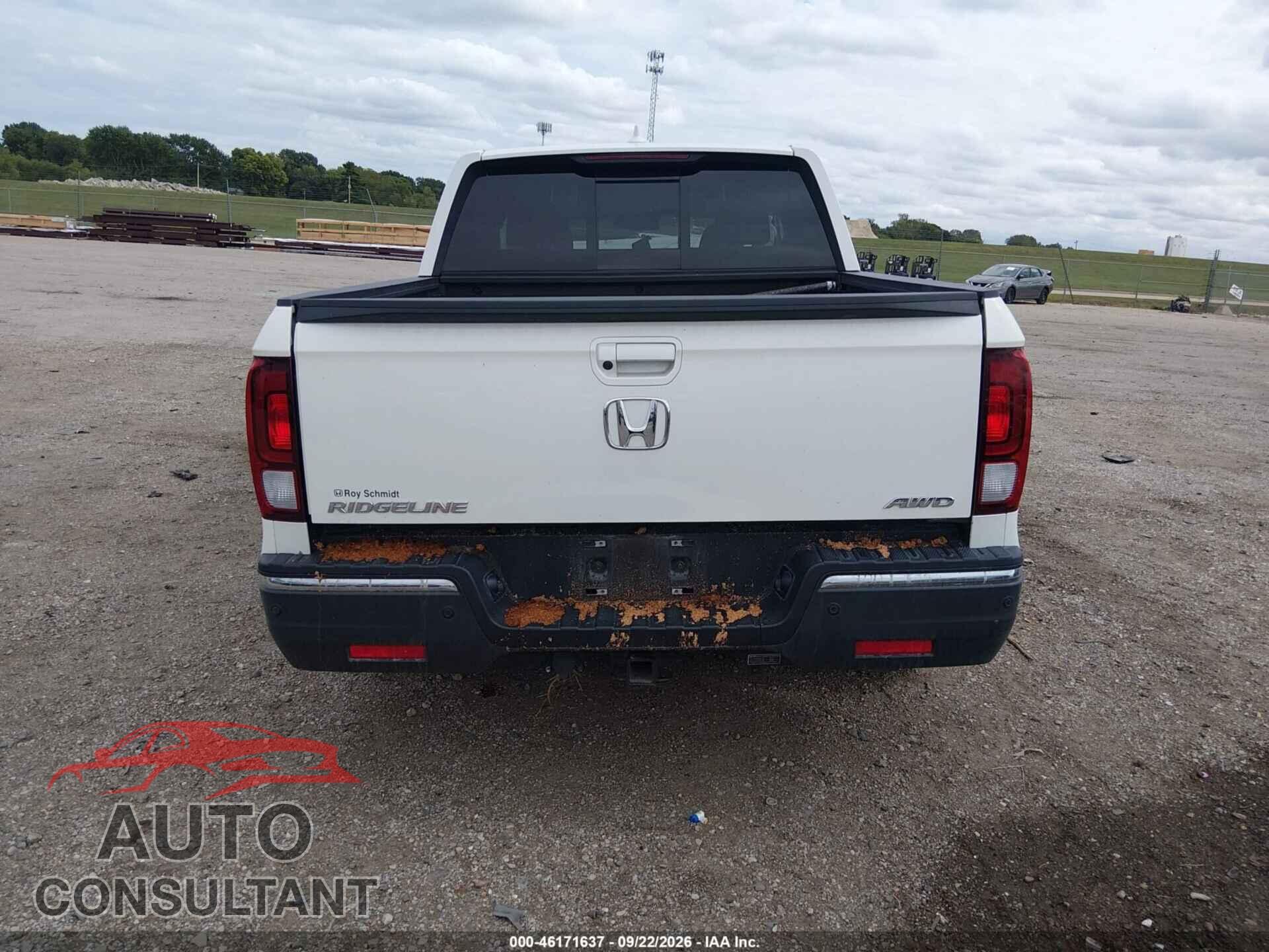 HONDA RIDGELINE 2019 - 5FPYK3F72KB036271
