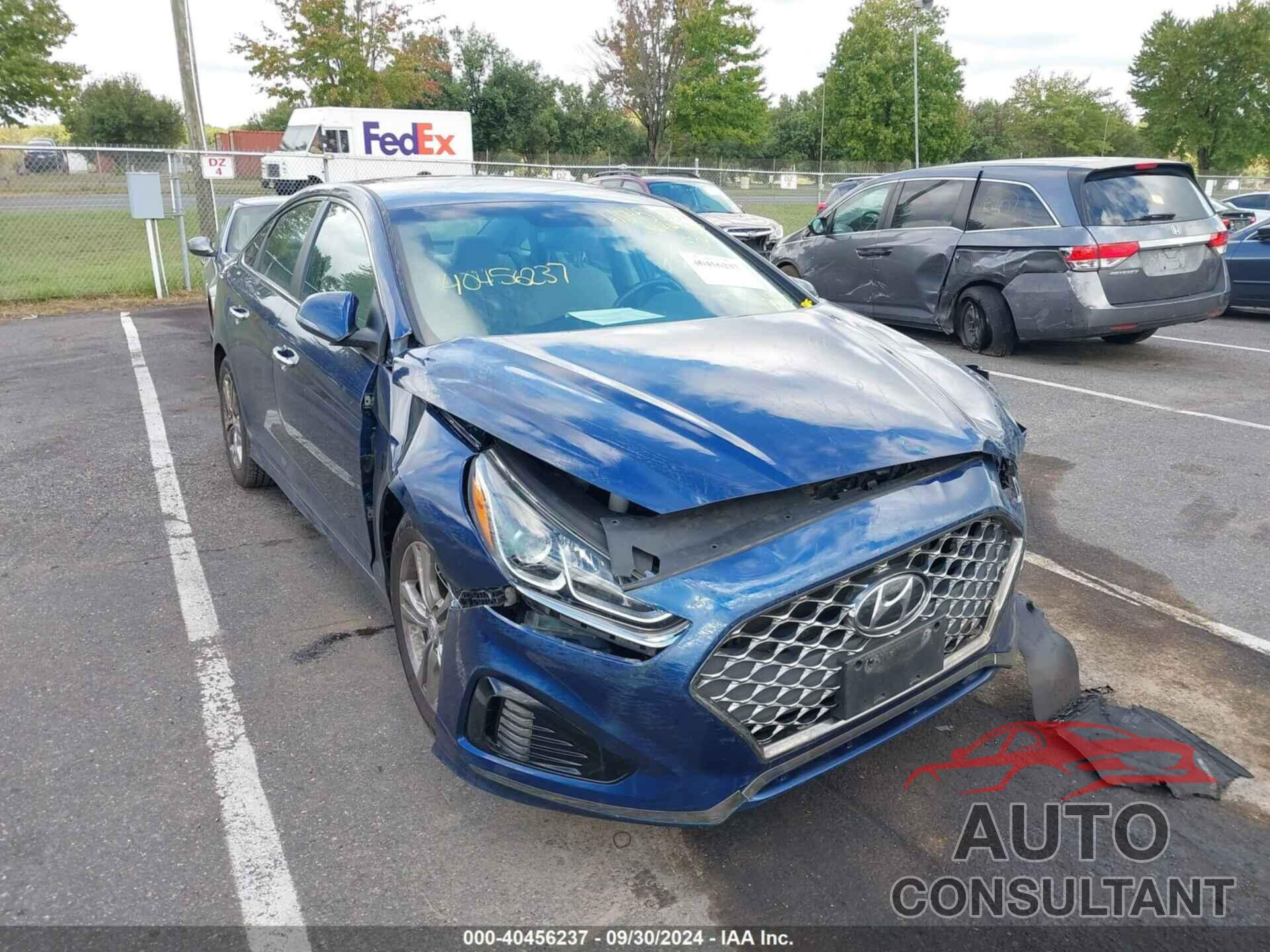 HYUNDAI SONATA 2019 - 5NPE34AF3KH821655