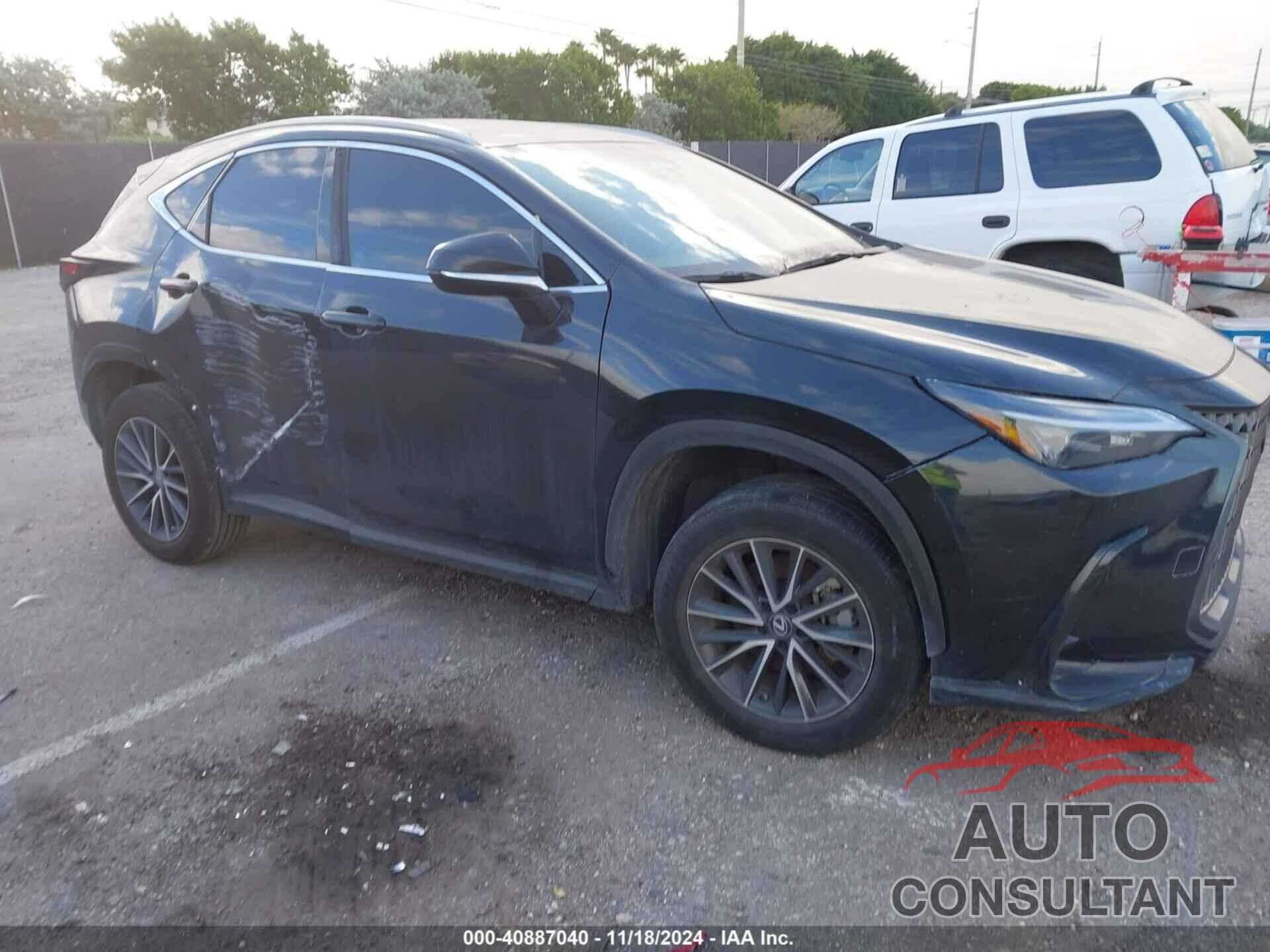 LEXUS NX 250 2023 - 2T2ADCAZ2PC005669