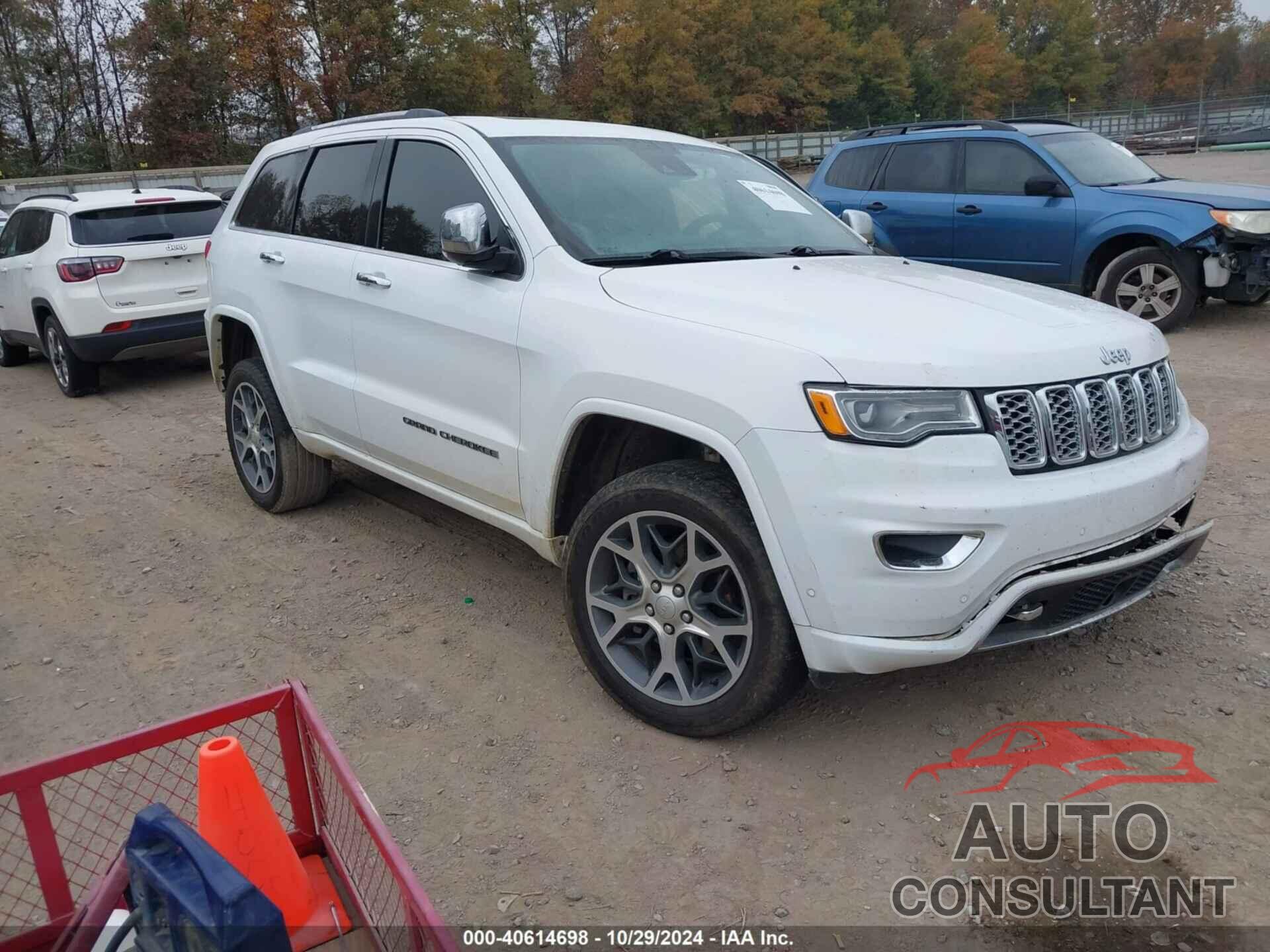 JEEP GRAND CHEROKEE 2019 - 1C4RJFCG9KC529321