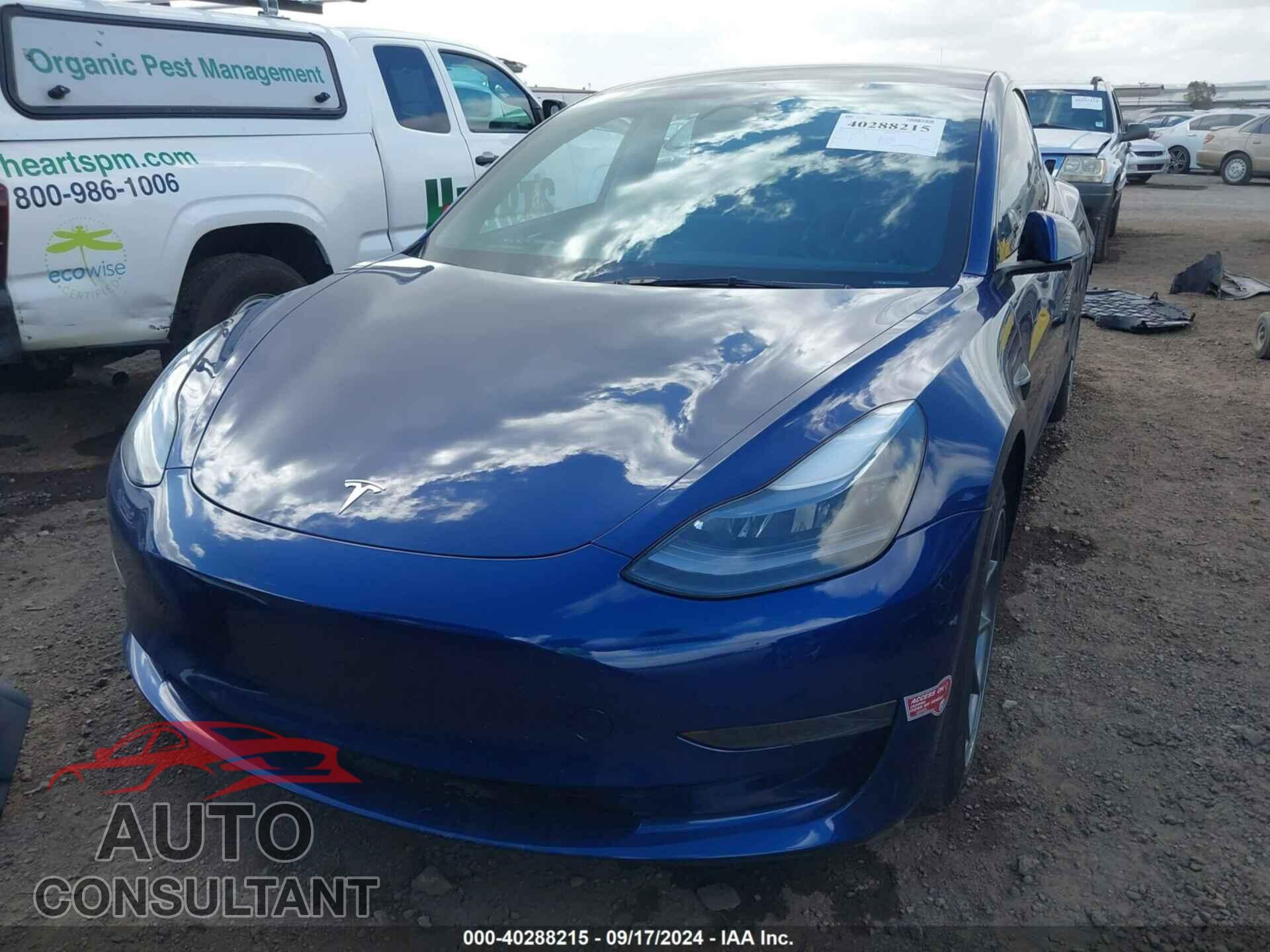 TESLA MODEL 3 2023 - 5YJ3E1EA5PF559724