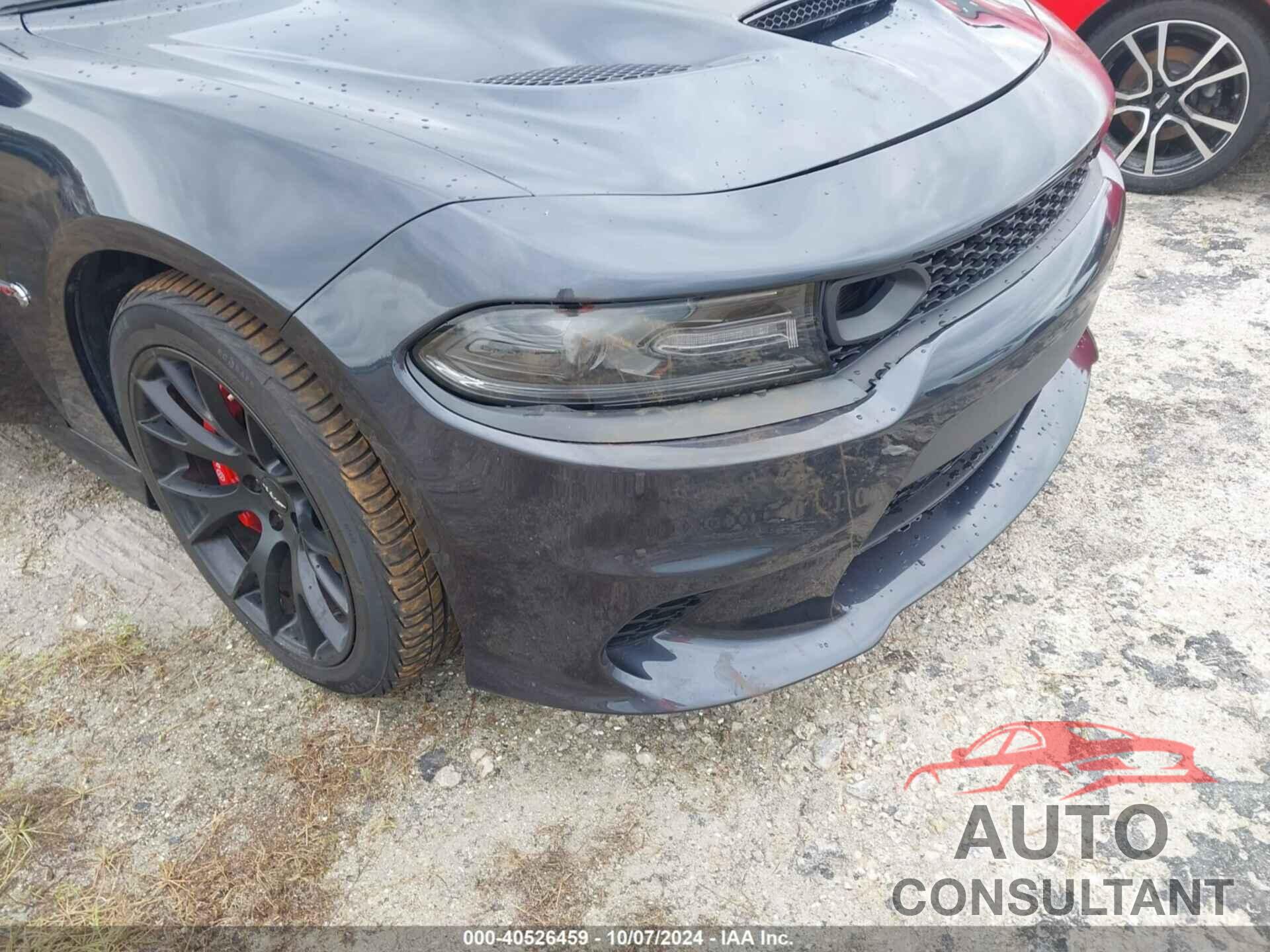 DODGE CHARGER 2019 - 2C3CDXL95KH571734