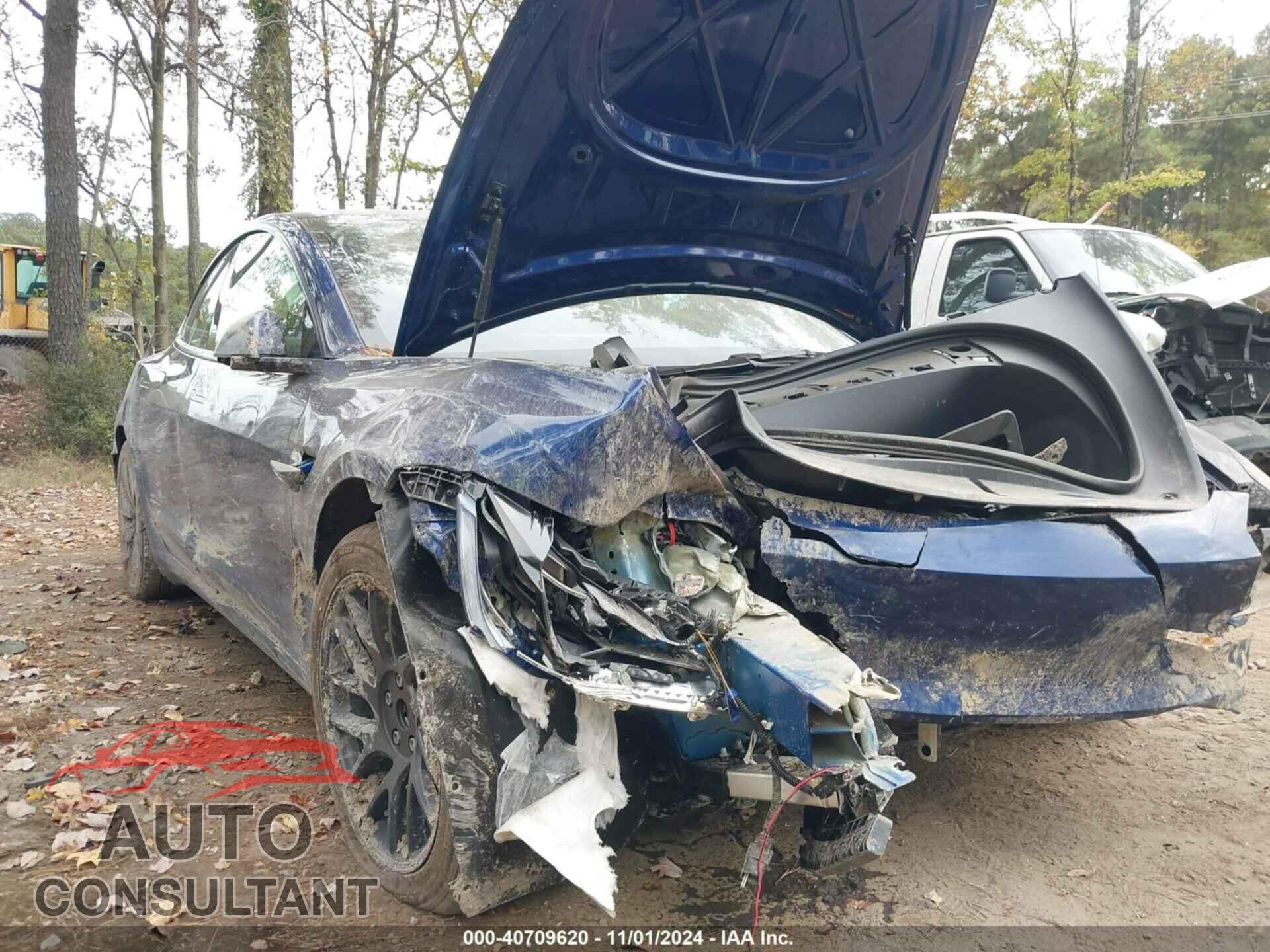 TESLA MODEL 3 2024 - 5YJ3E1EAXRF784319