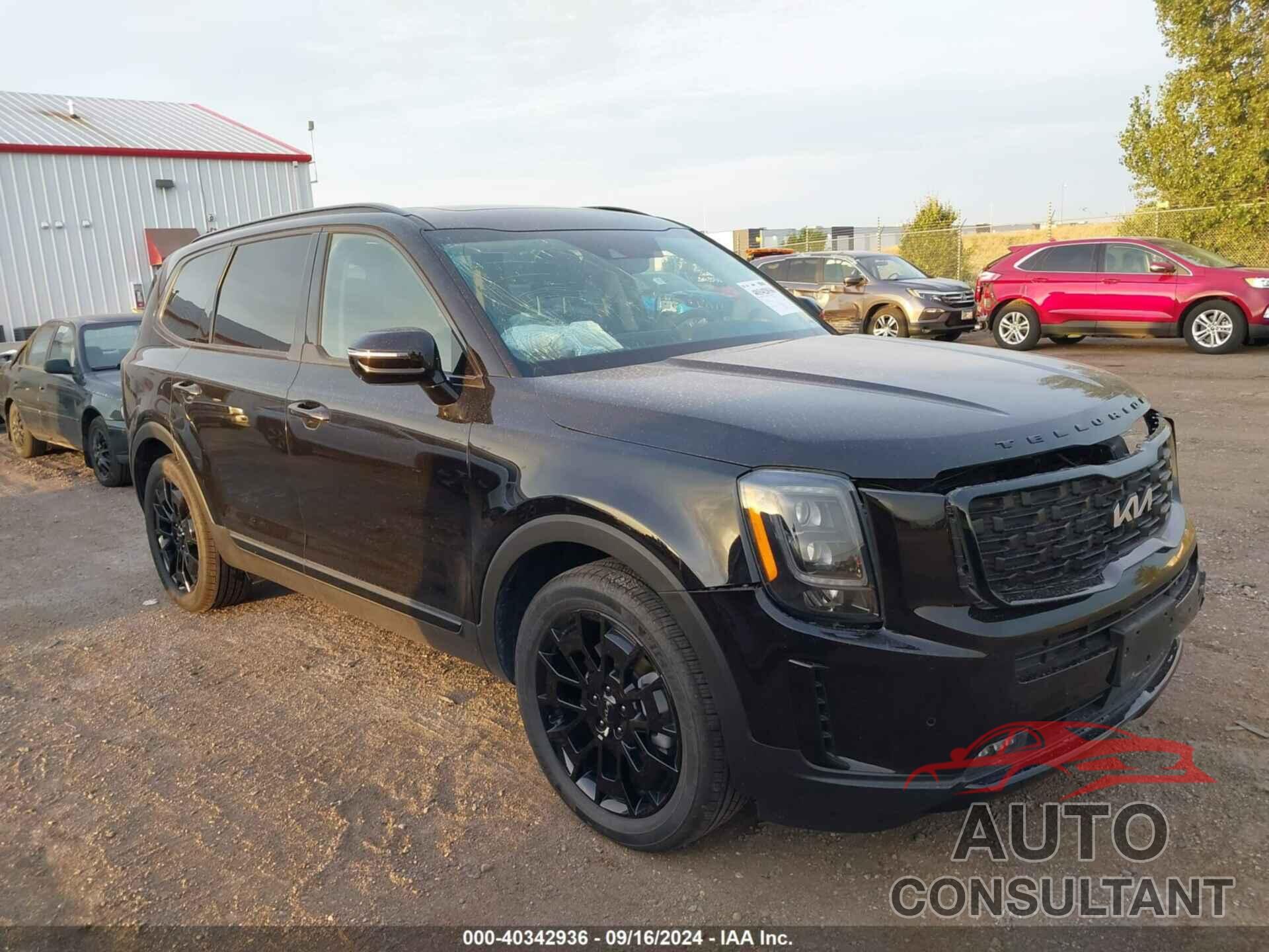 KIA TELLURIDE 2022 - 5XYP5DHC3NG243776