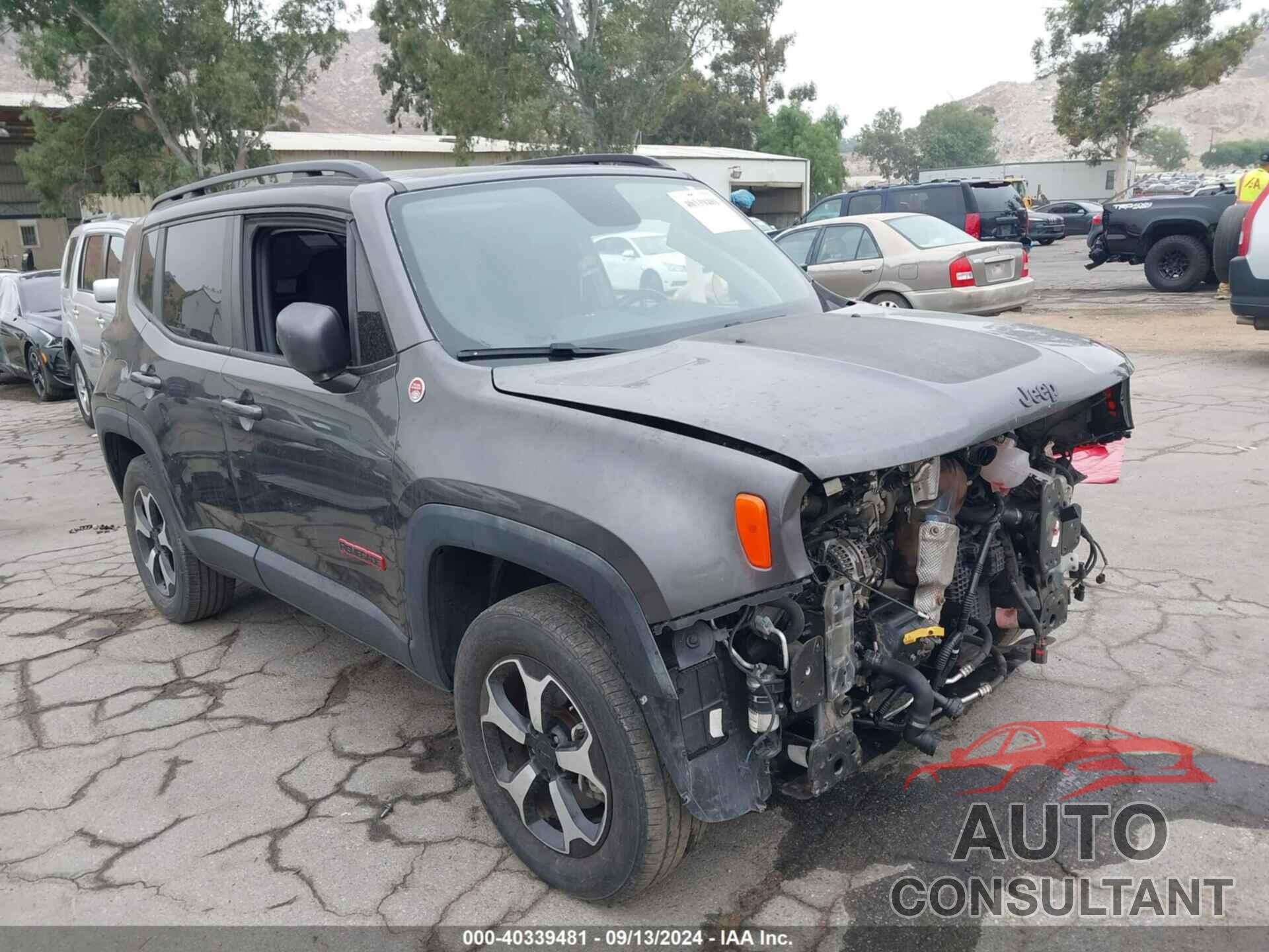 JEEP RENEGADE 2019 - ZACNJBC17KPK38408