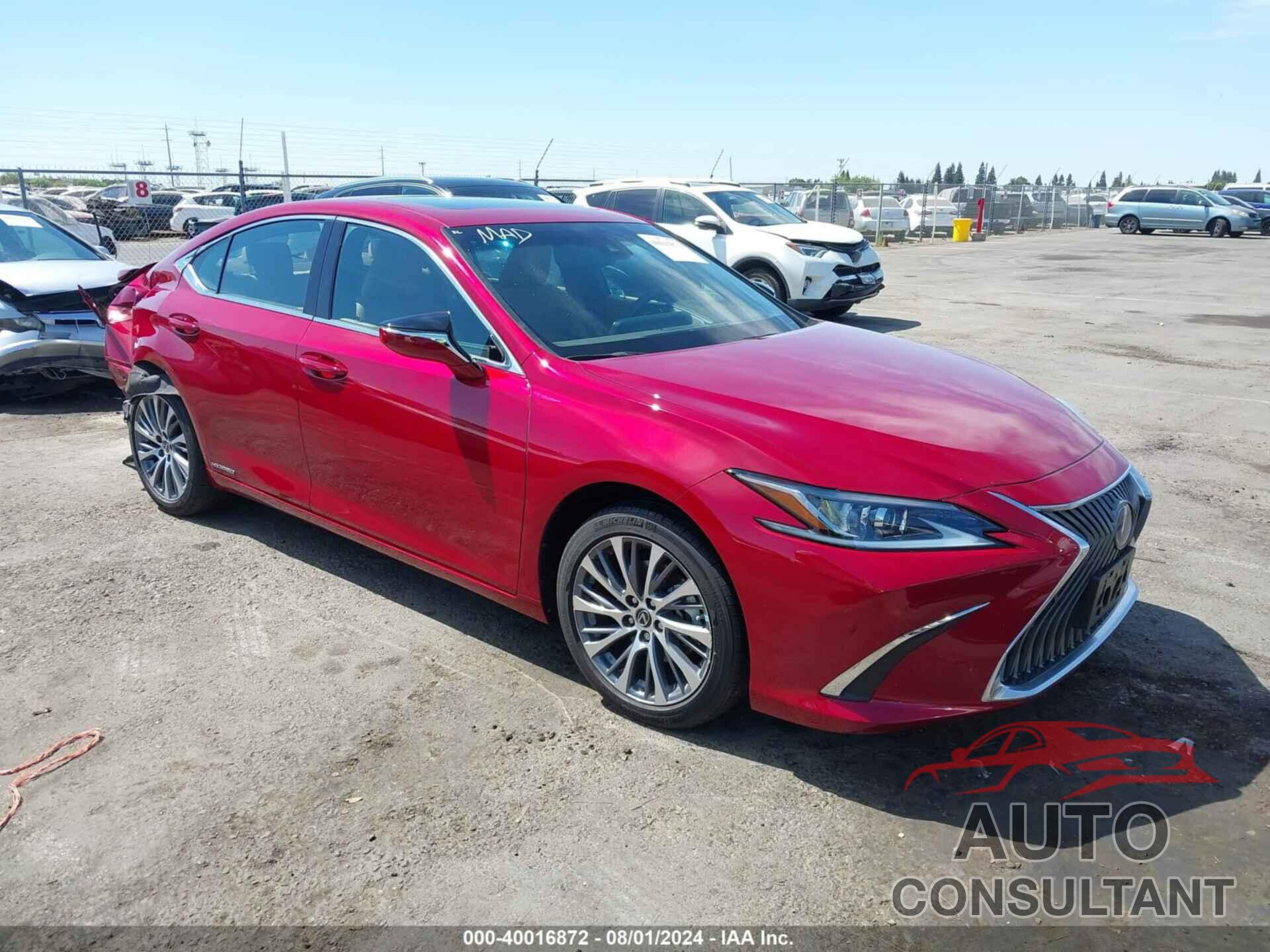 LEXUS ES 300H 2021 - 58ADA1C18MU012179