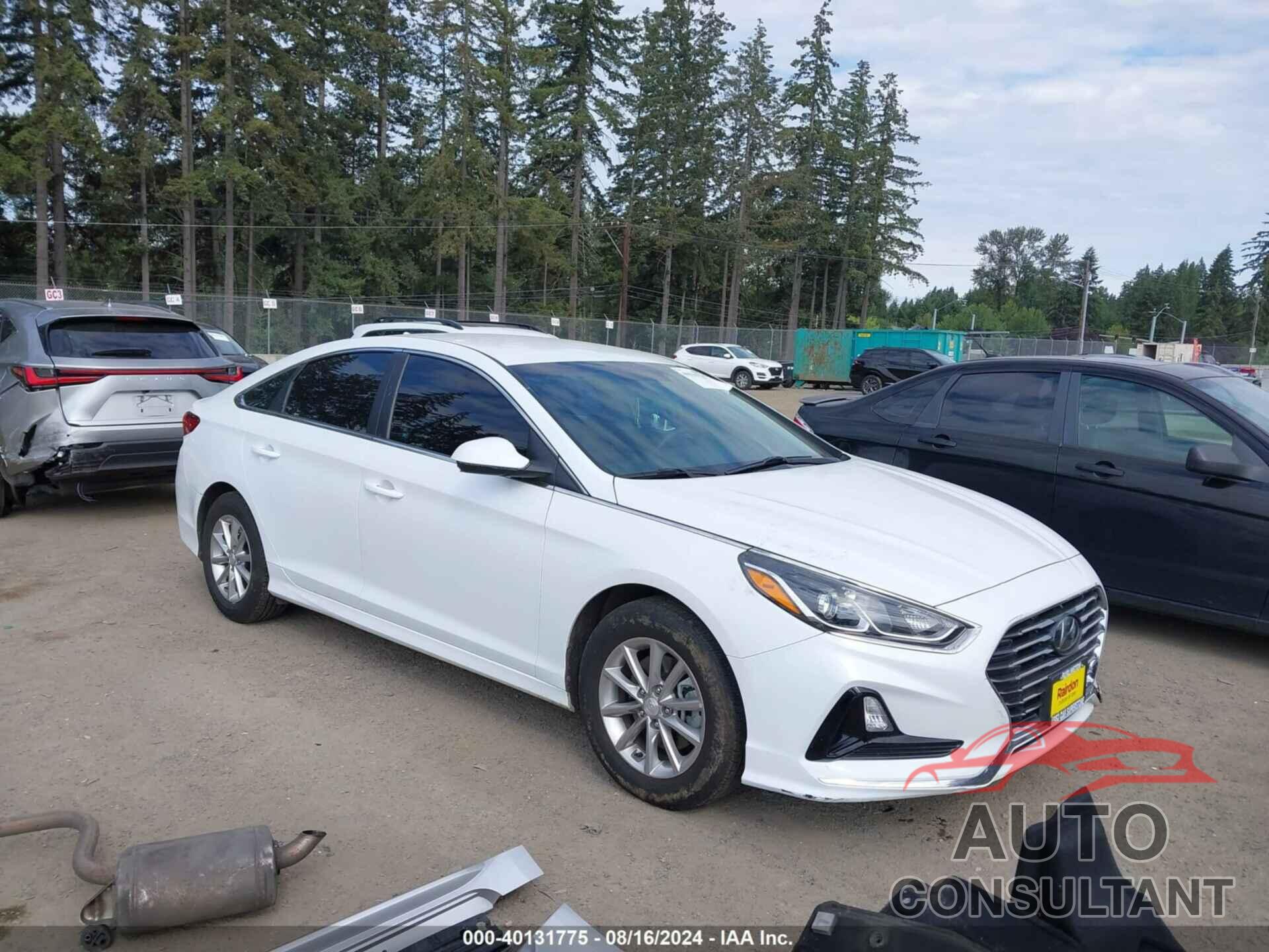 HYUNDAI SONATA 2019 - 5NPE24AF1KH767520