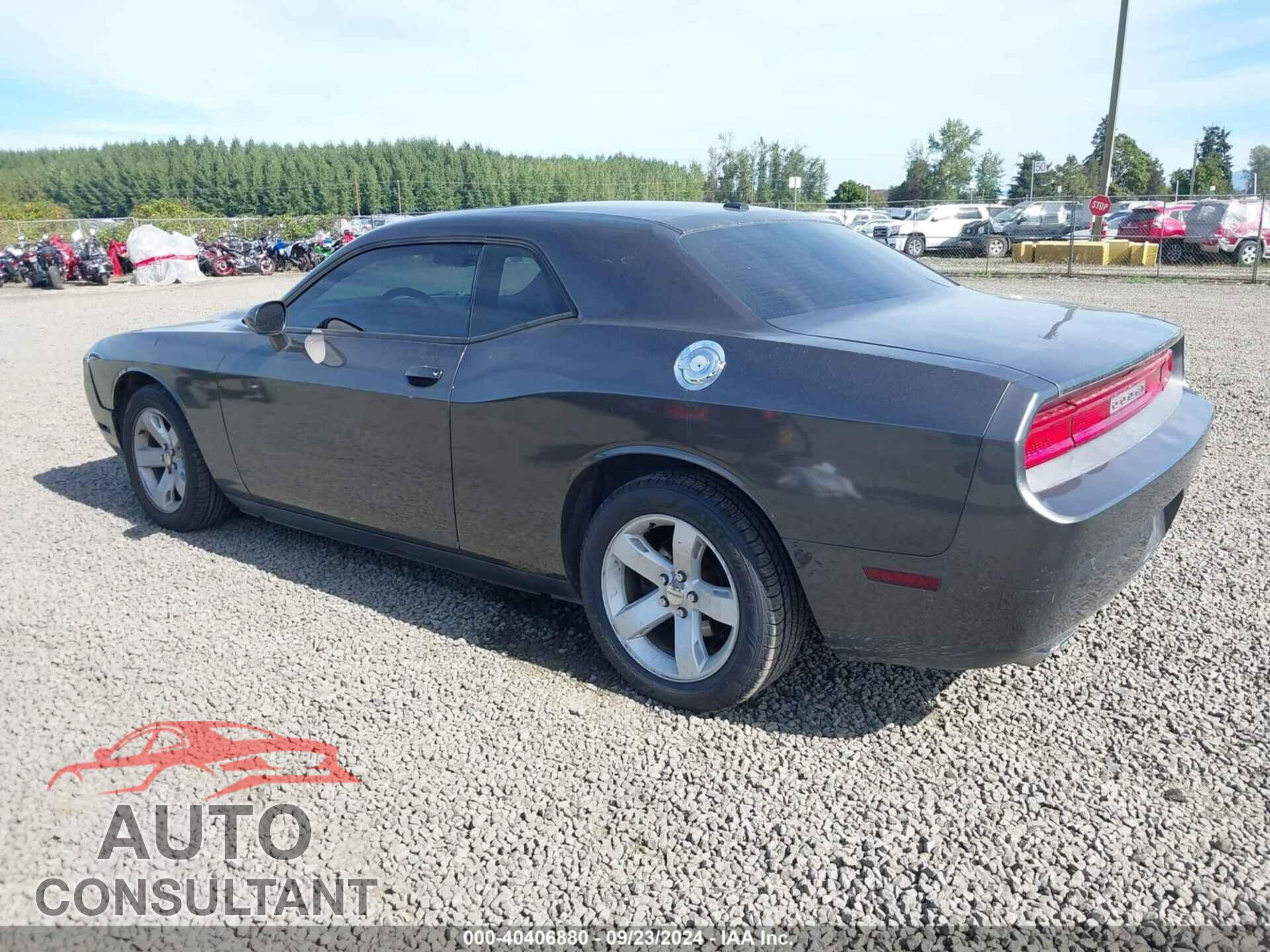 DODGE CHALLENGER 2013 - 2C3CDYAG2DH695308