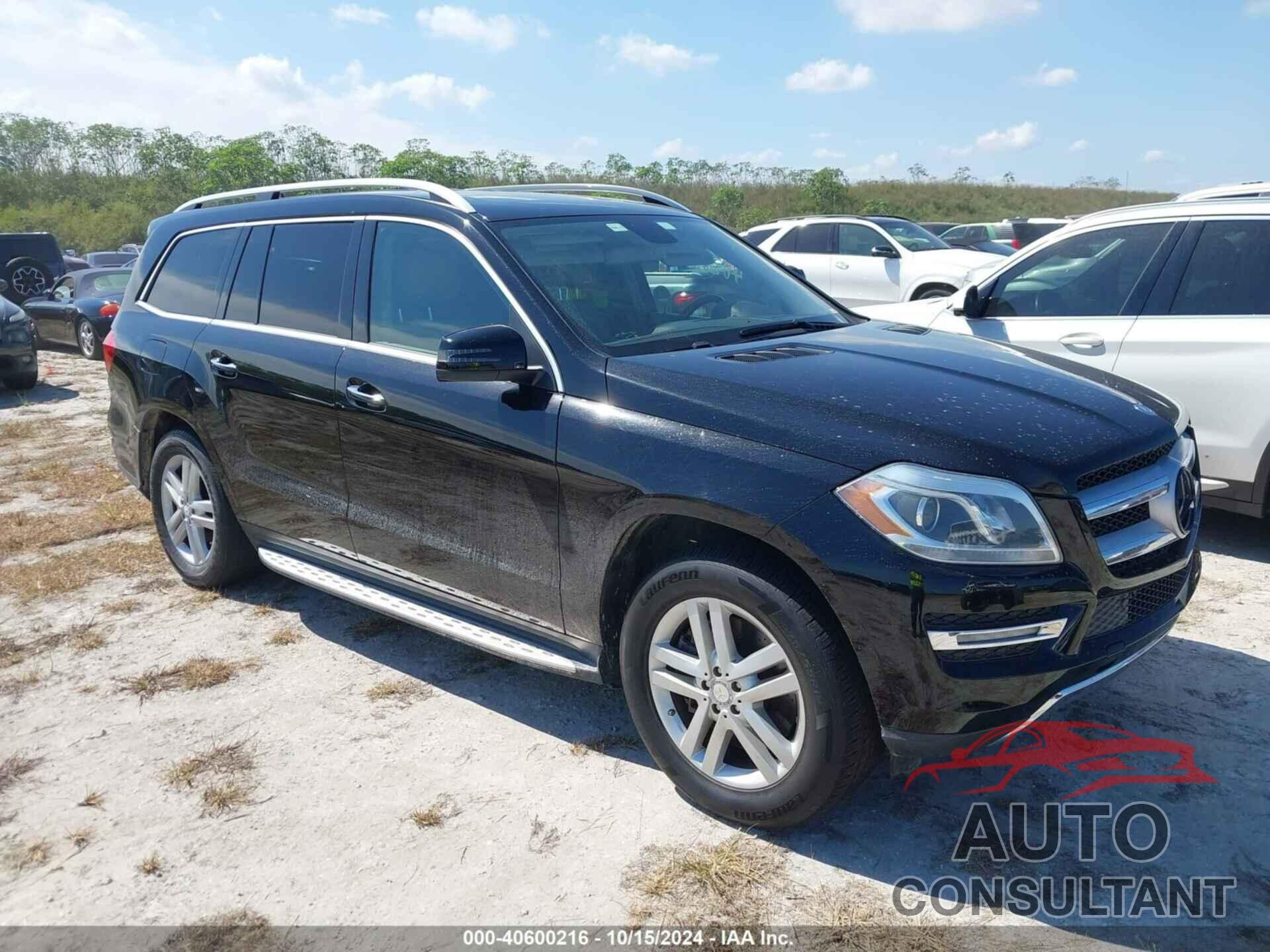 MERCEDES-BENZ GL 450 2013 - 4JGDF7CE2DA113878