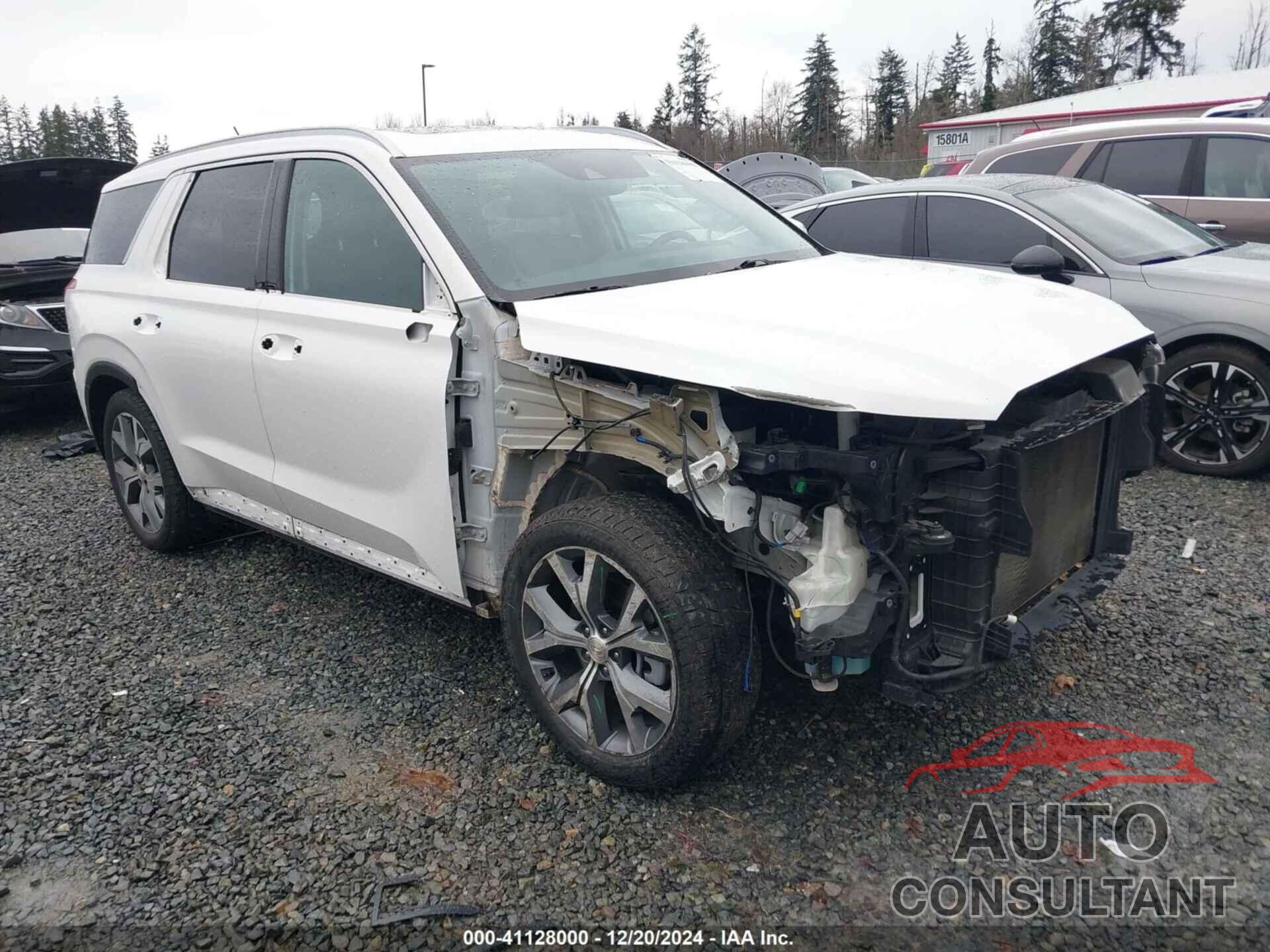 HYUNDAI PALISADE 2020 - KM8R4DHE0LU150525