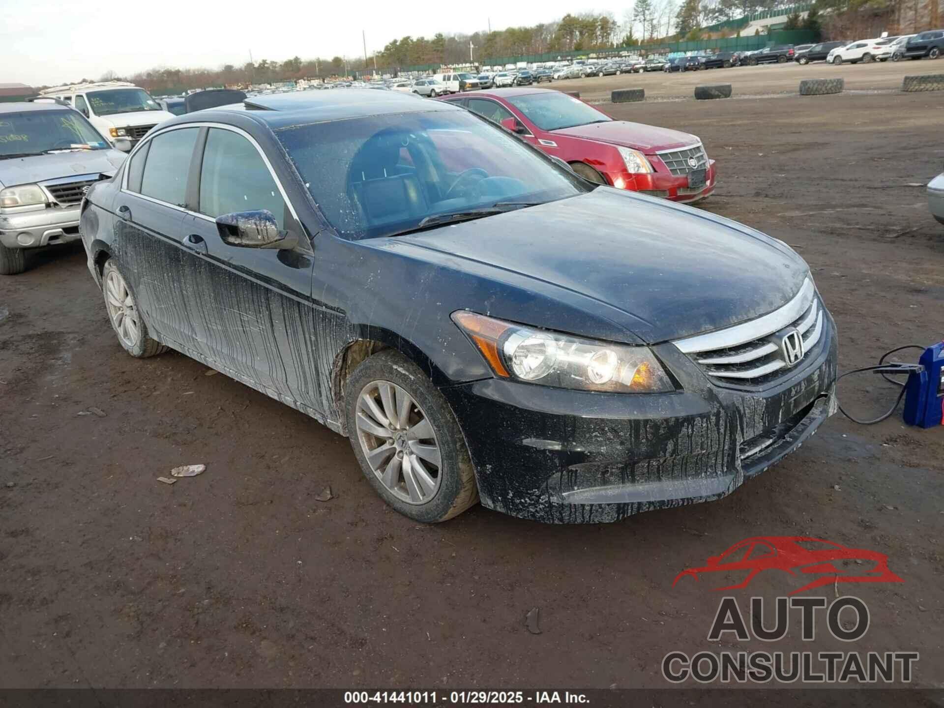 HONDA ACCORD 2011 - 1HGCP2F8XBA113647