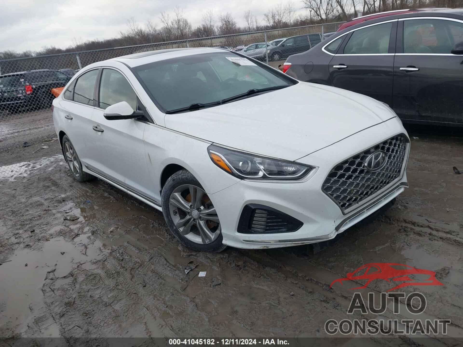 HYUNDAI SONATA 2019 - 5NPE34AF2KH766373