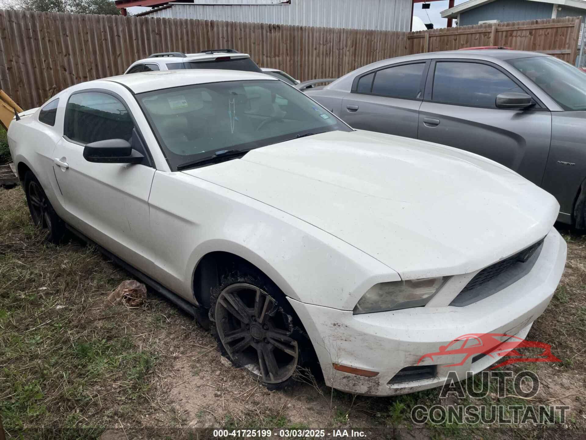 FORD MUSTANG 2011 - 1ZVBP8AM7B5111586