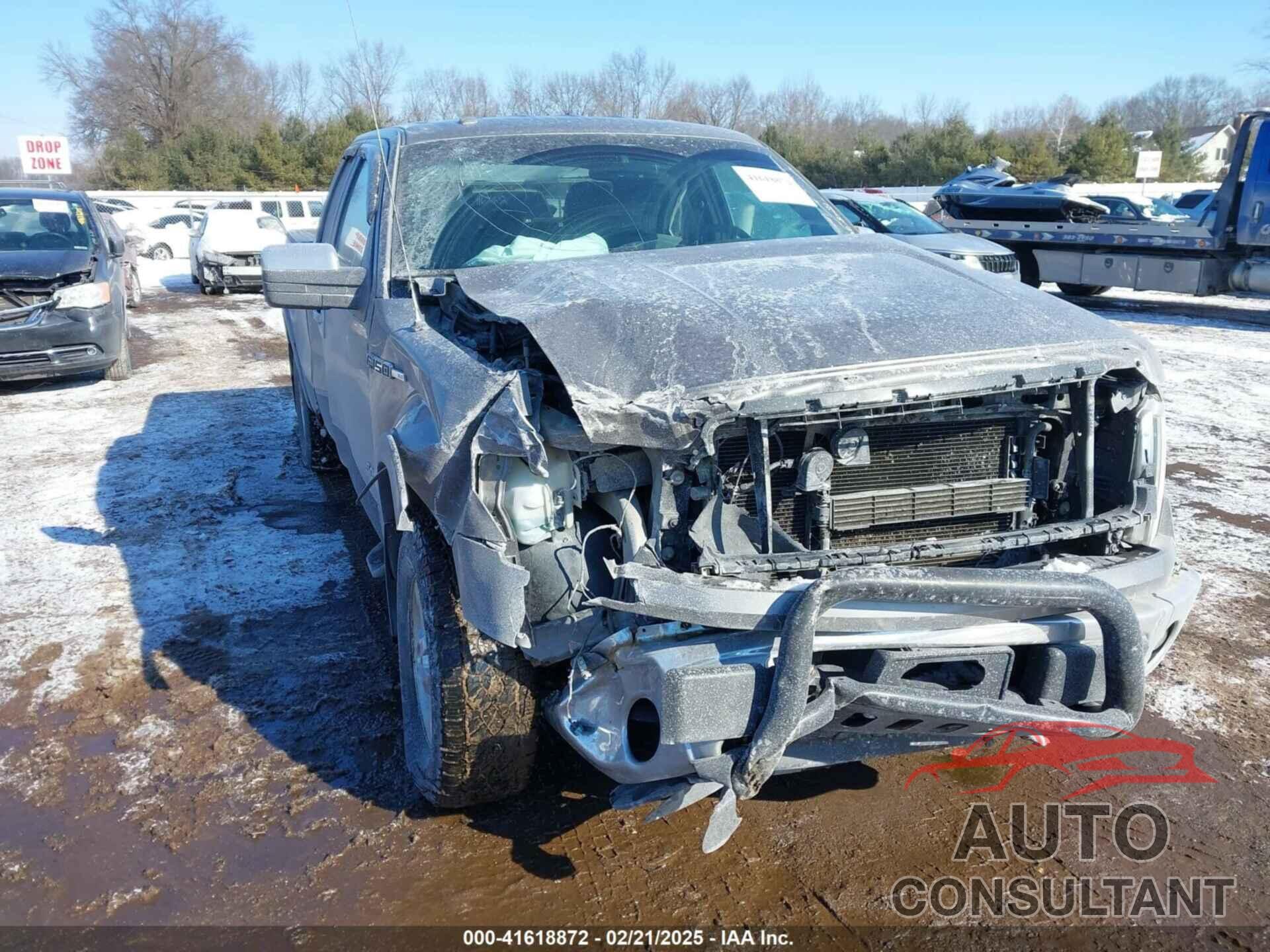 FORD F-150 2014 - 1FTFX1EF1EKD34459