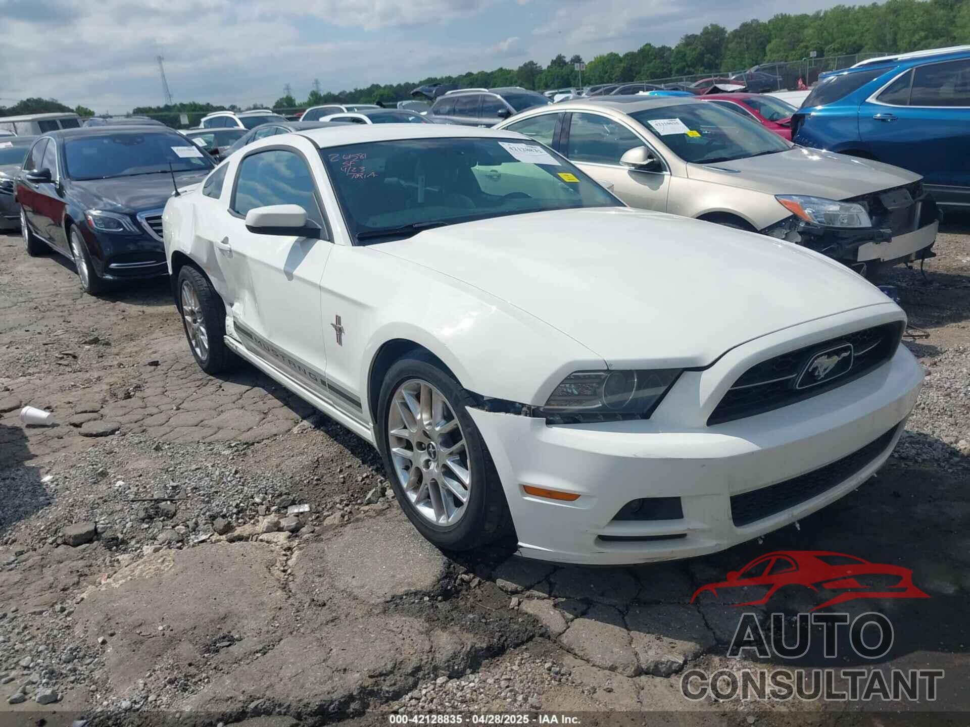 FORD MUSTANG 2013 - 1ZVBP8AM0D5220569