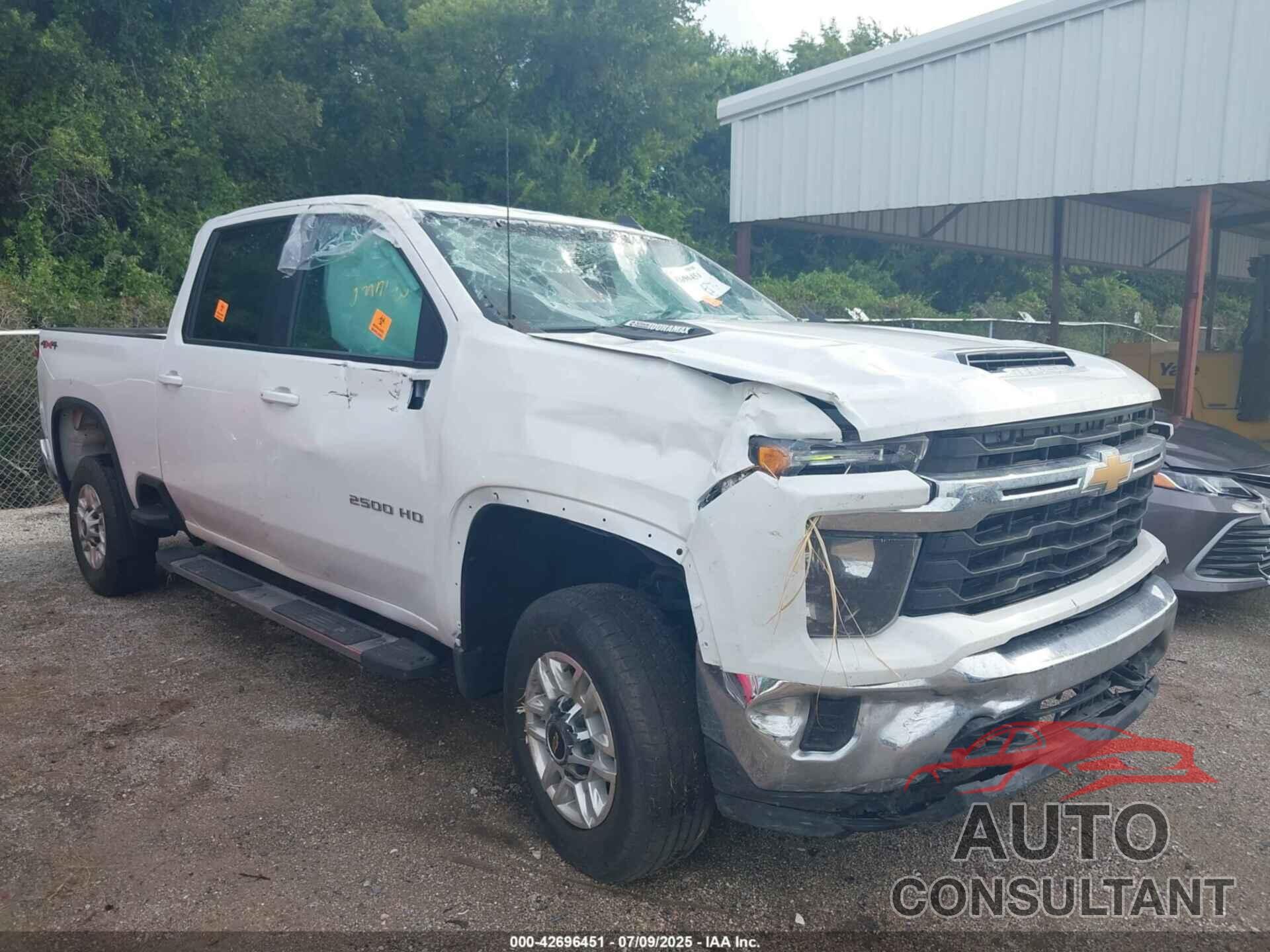 CHEVROLET SILVERADO 2024 - 2GC4YNEY3R1230137