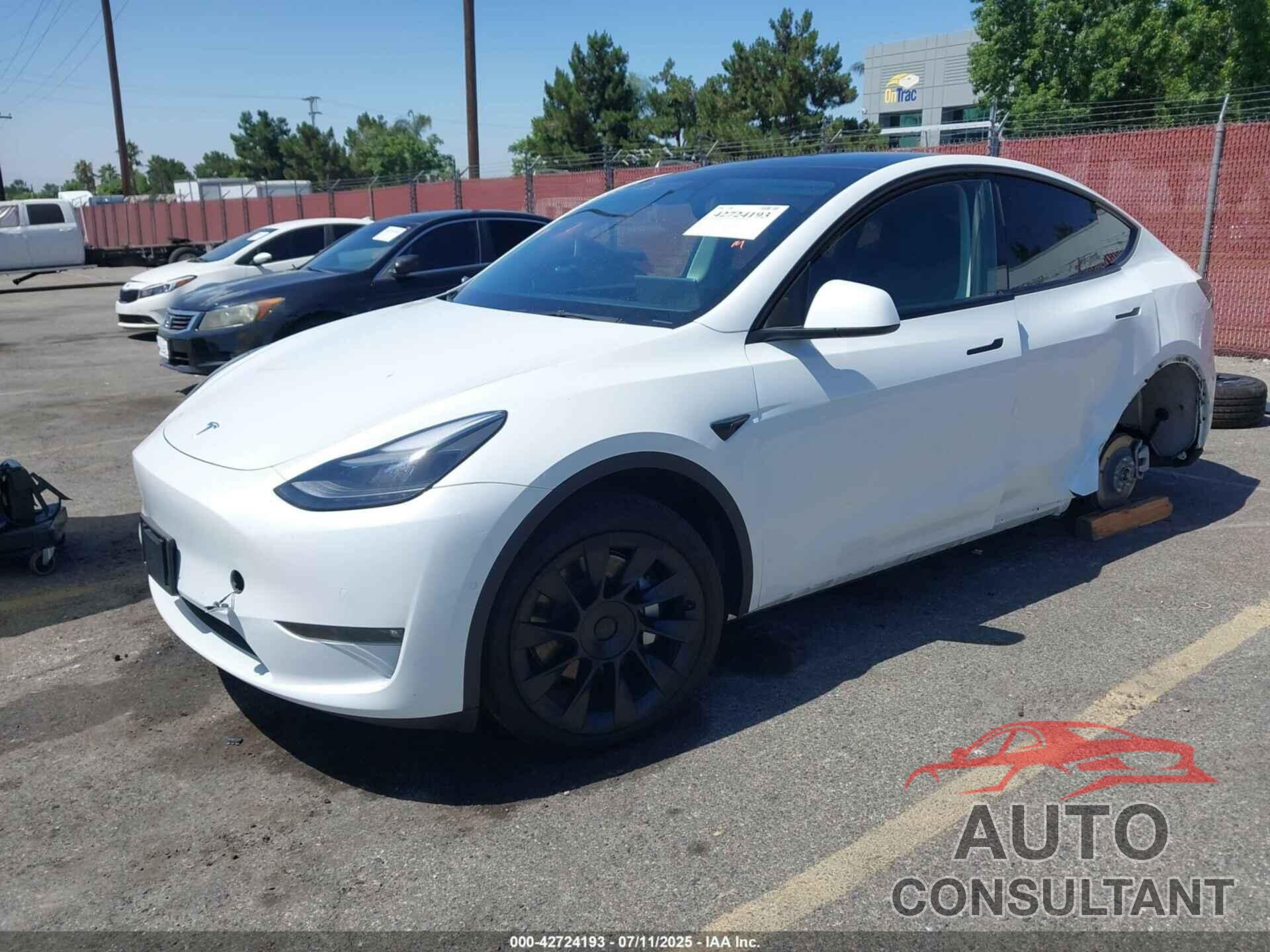 TESLA MODEL Y 2022 - 7SAYGDEE3NF545146