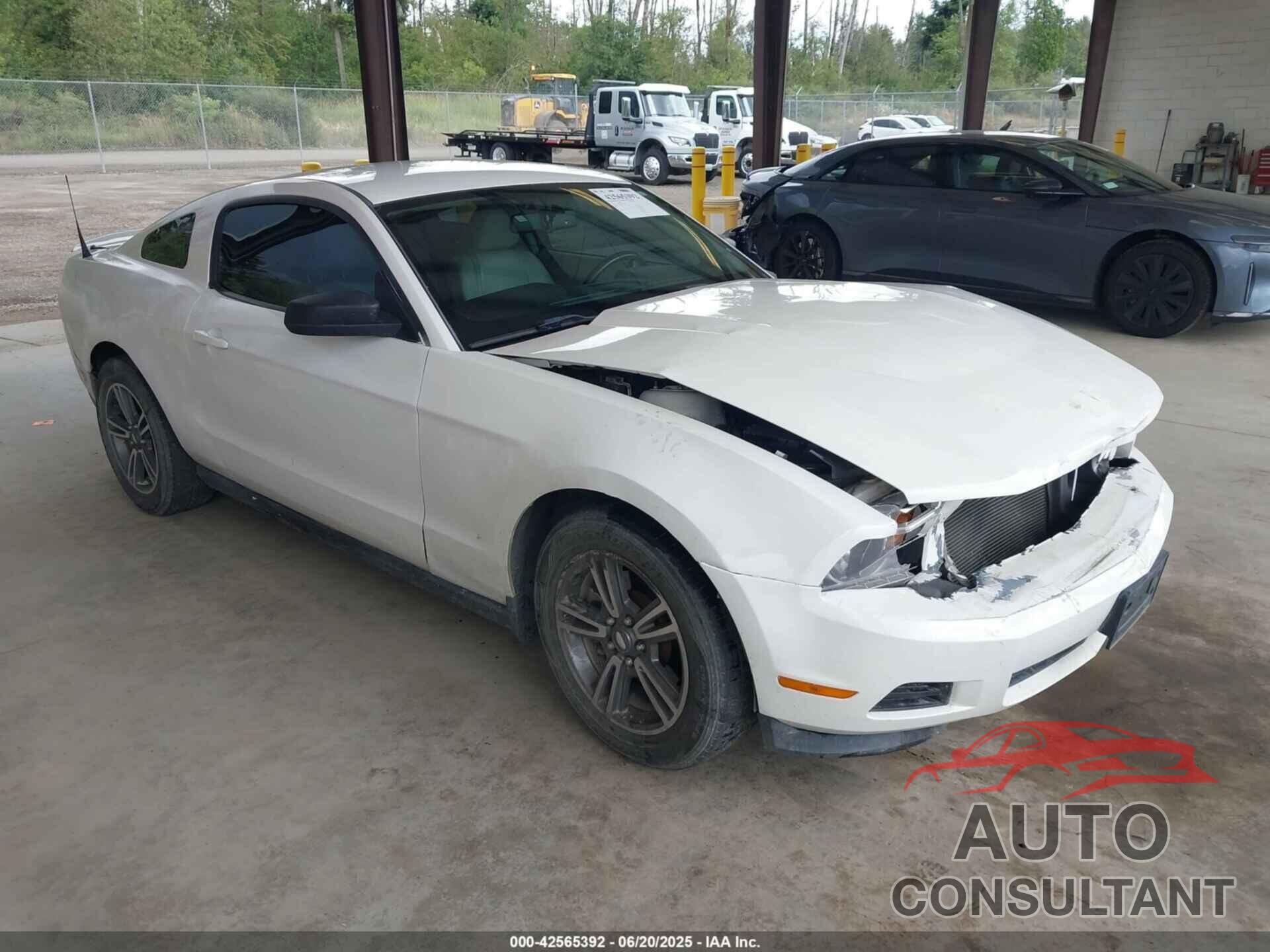 FORD MUSTANG 2011 - 1ZVBP8AMXB5109458
