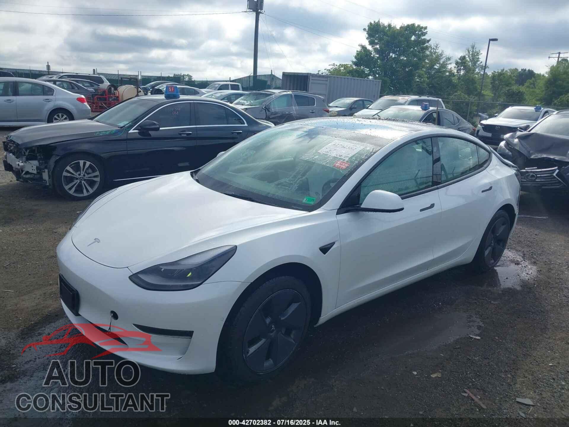 TESLA MODEL 3 2021 - 5YJ3E1EA2MF091480