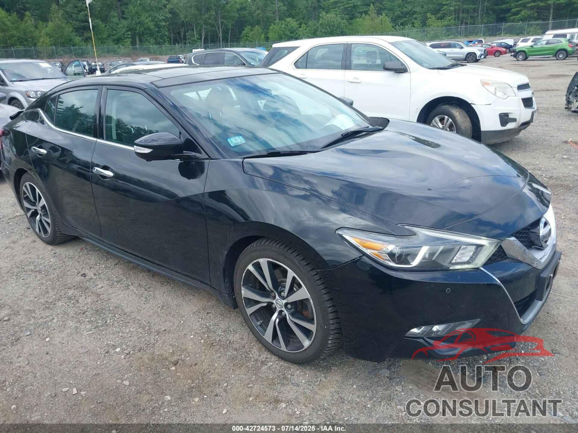 NISSAN MAXIMA 2017 - 1N4AA6AP2HC442777