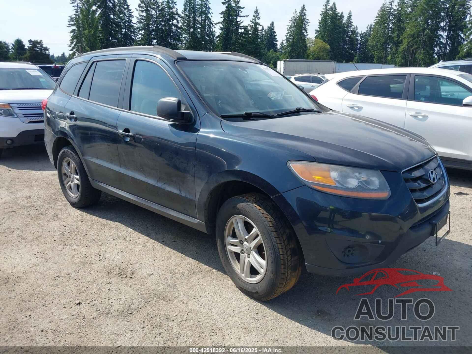 HYUNDAI SANTA FE 2010 - 5NMSG3AB6AH357951